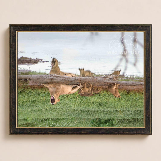 A group of animals, including deer, are seen grazing in a grassy field, with a body of water visible in the background.