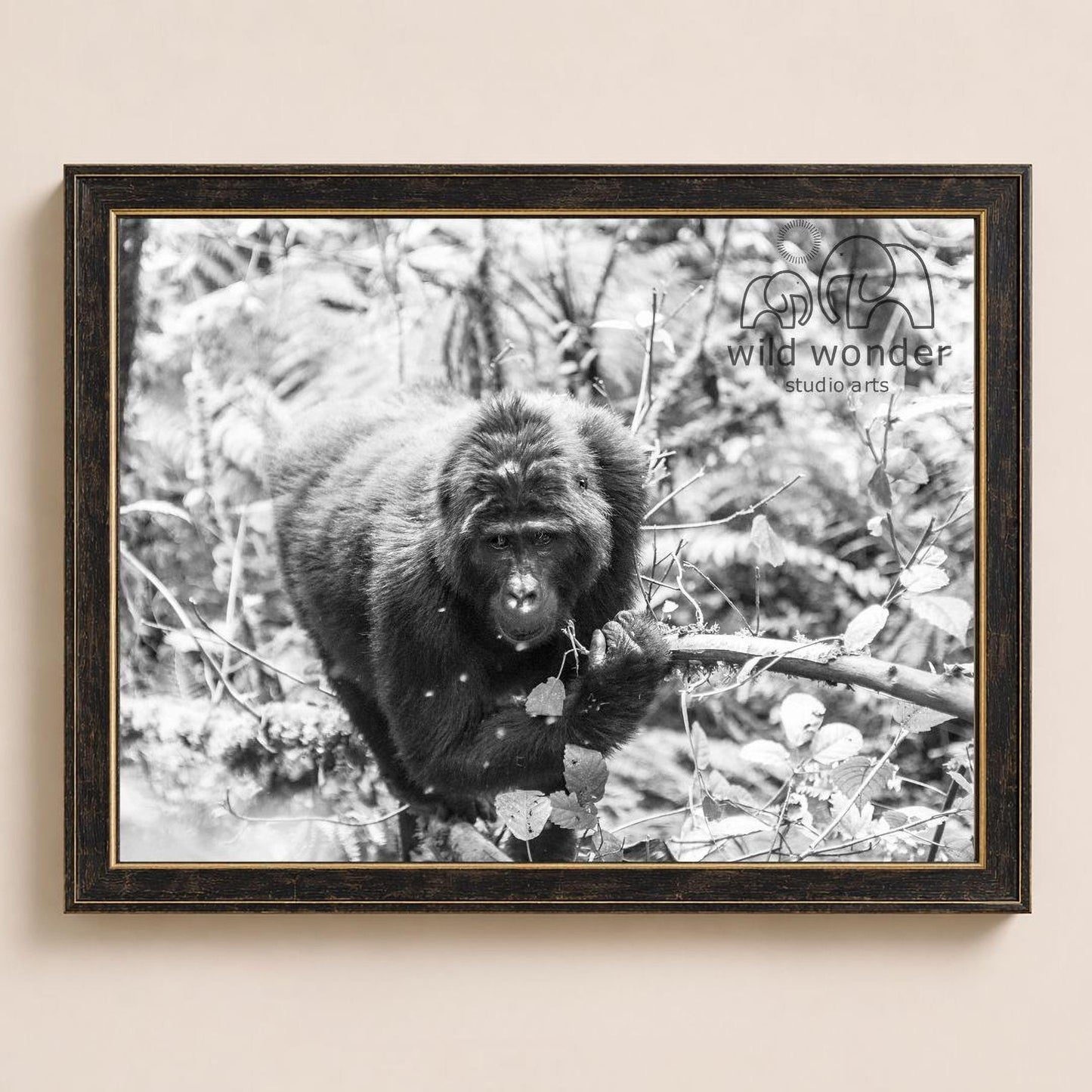 A black and white photograph of a monkey perched on a branch in a forest setting.