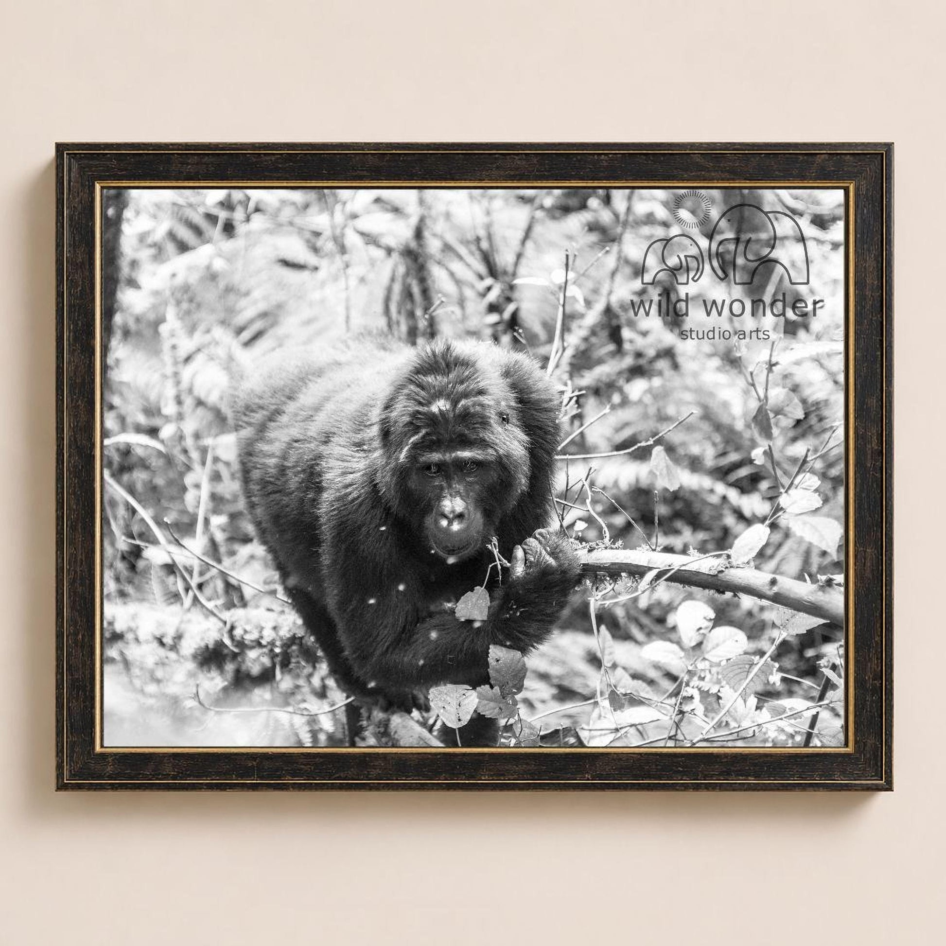 A black and white photograph of a monkey perched on a branch in a forest setting.