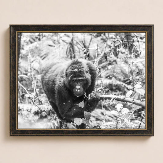 A black and white photograph of a monkey perched on a branch in a forest setting.