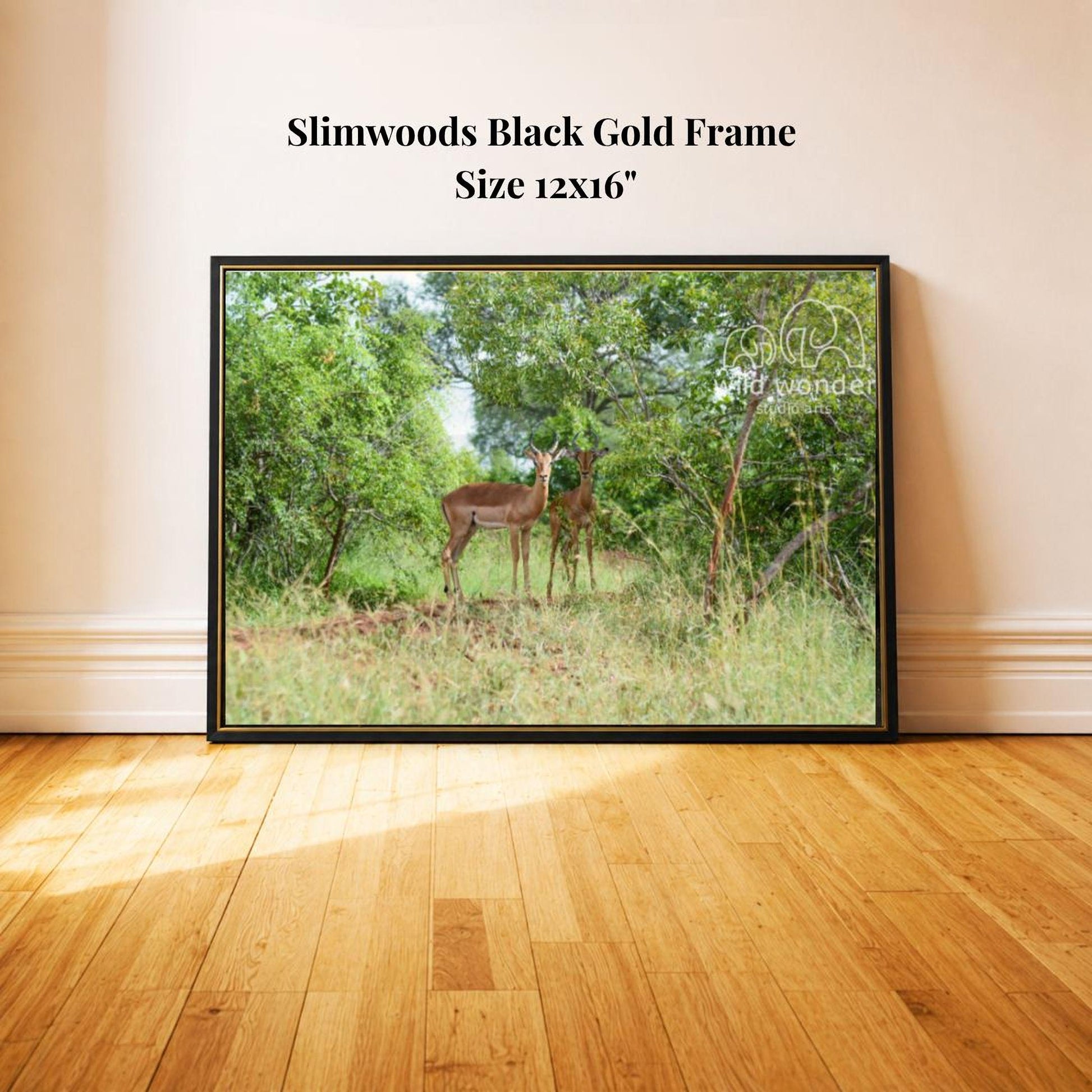 A black and gold framed photograph of two deer standing in a grassy area with trees in the background.