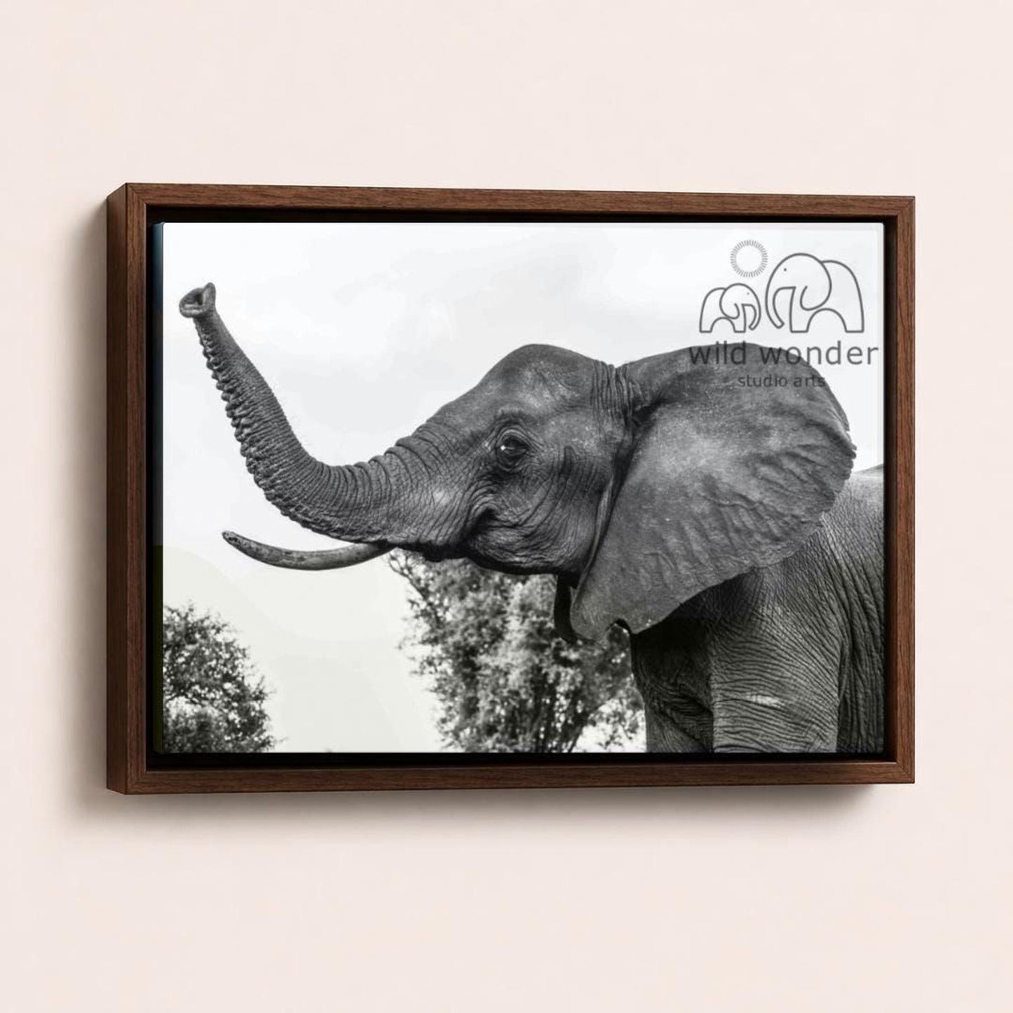 A black and white photograph of an elephant with its trunk raised, standing in a natural setting with trees in the background.