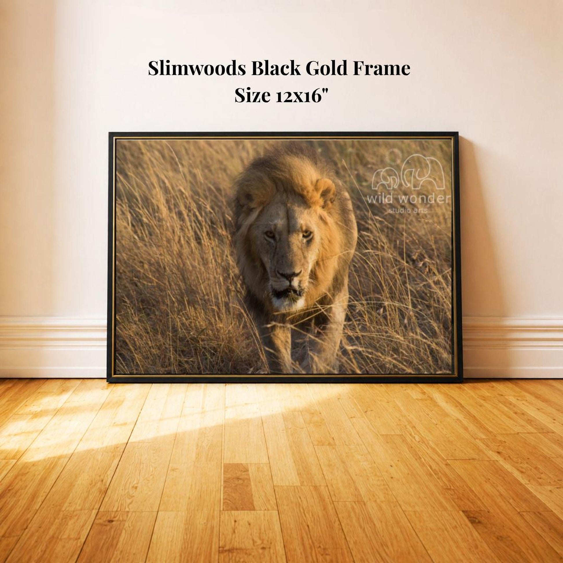 A framed photograph of a lion in a grassy field, with the text "Slimwoods Black Gold Frame" and "Size 12x16" printed on the frame.