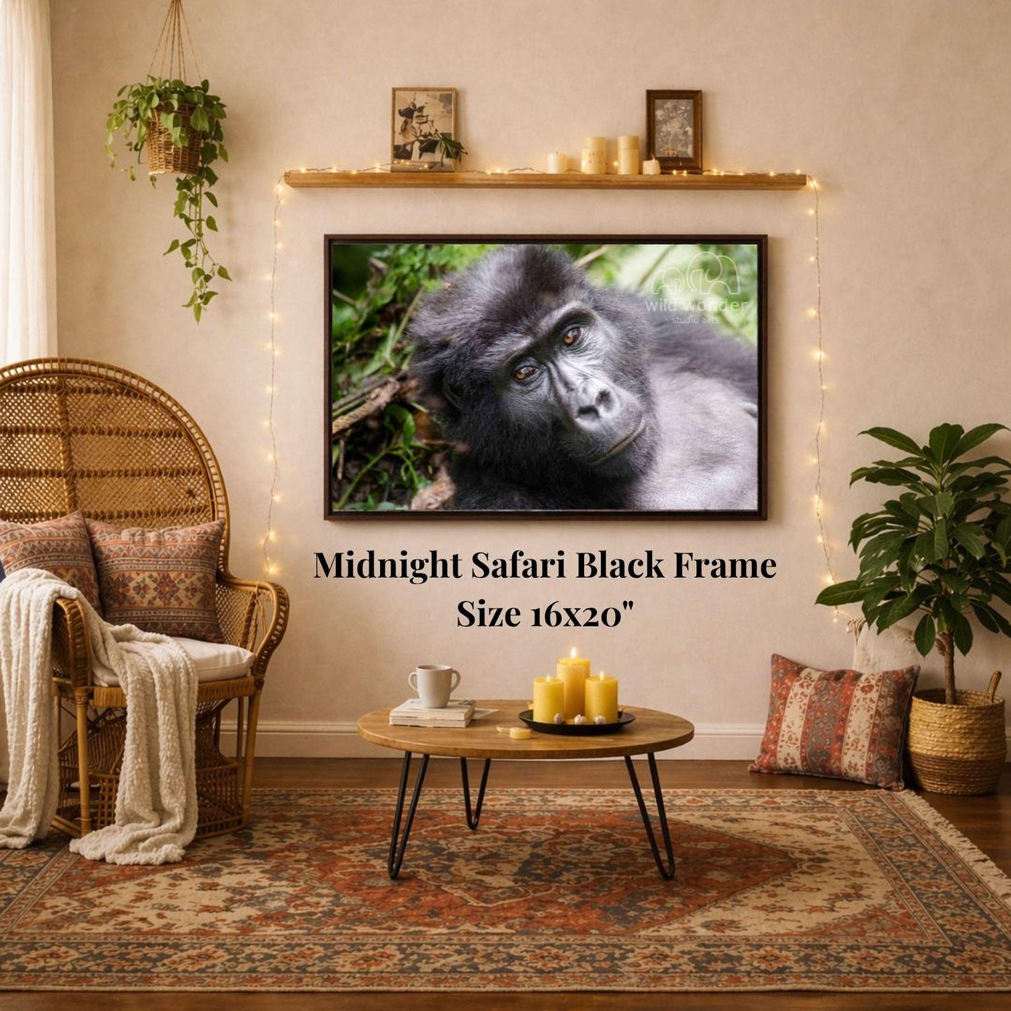 a living room with a large framed photograph of a gorilla hanging on the wall. The room has a cozy and inviting atmosphere, with a wicker chair, a coffee table, and a potted plant. The photograph is mounted on a black frame, and the text "Midnight Safari Black Frame 16x20" is displayed below the frame.