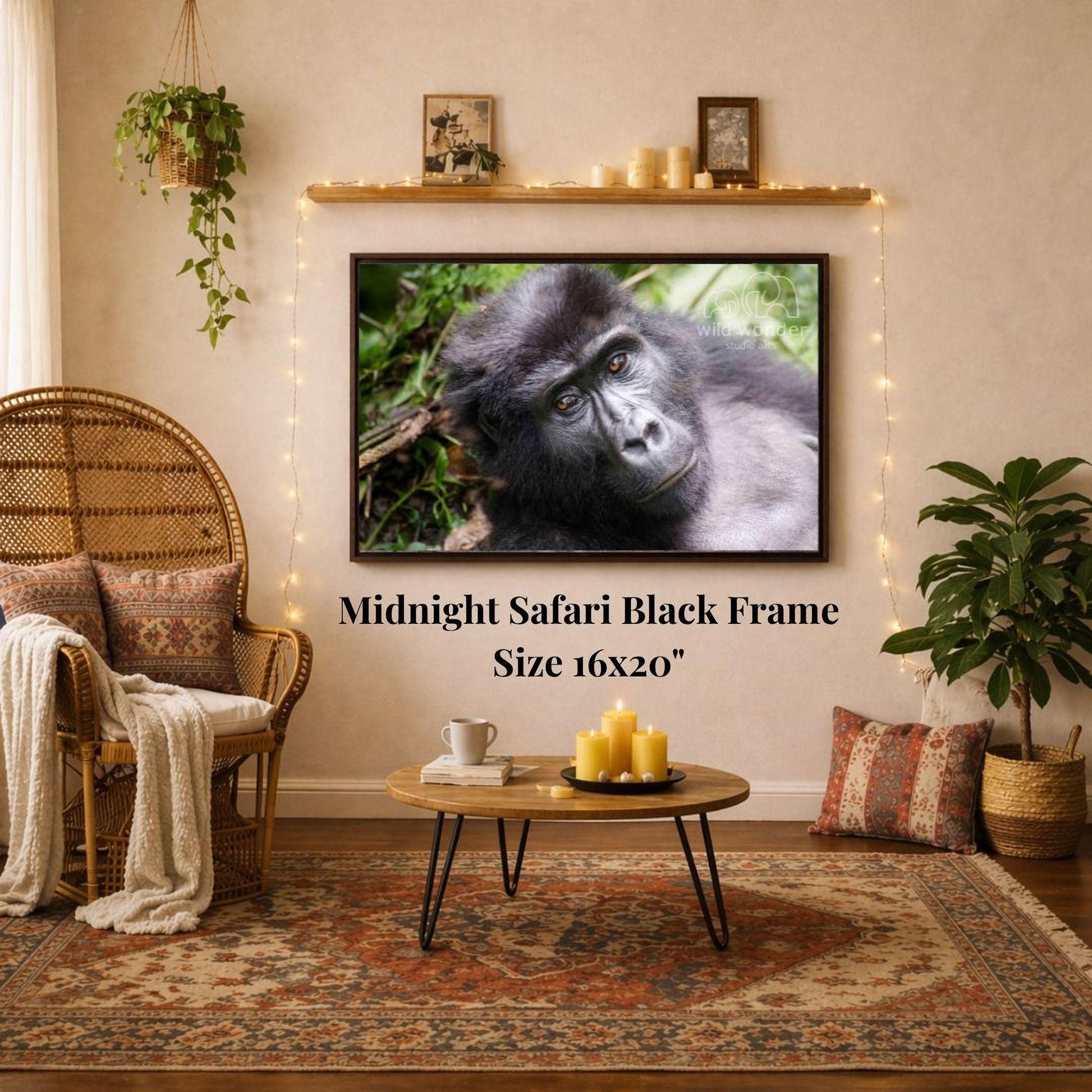 a living room with a large framed photograph of a gorilla hanging on the wall. The room has a cozy and inviting atmosphere, with a wicker chair, a coffee table, and a potted plant. The photograph is mounted on a black frame, and the text "Midnight Safari Black Frame 16x20" is displayed below the frame.