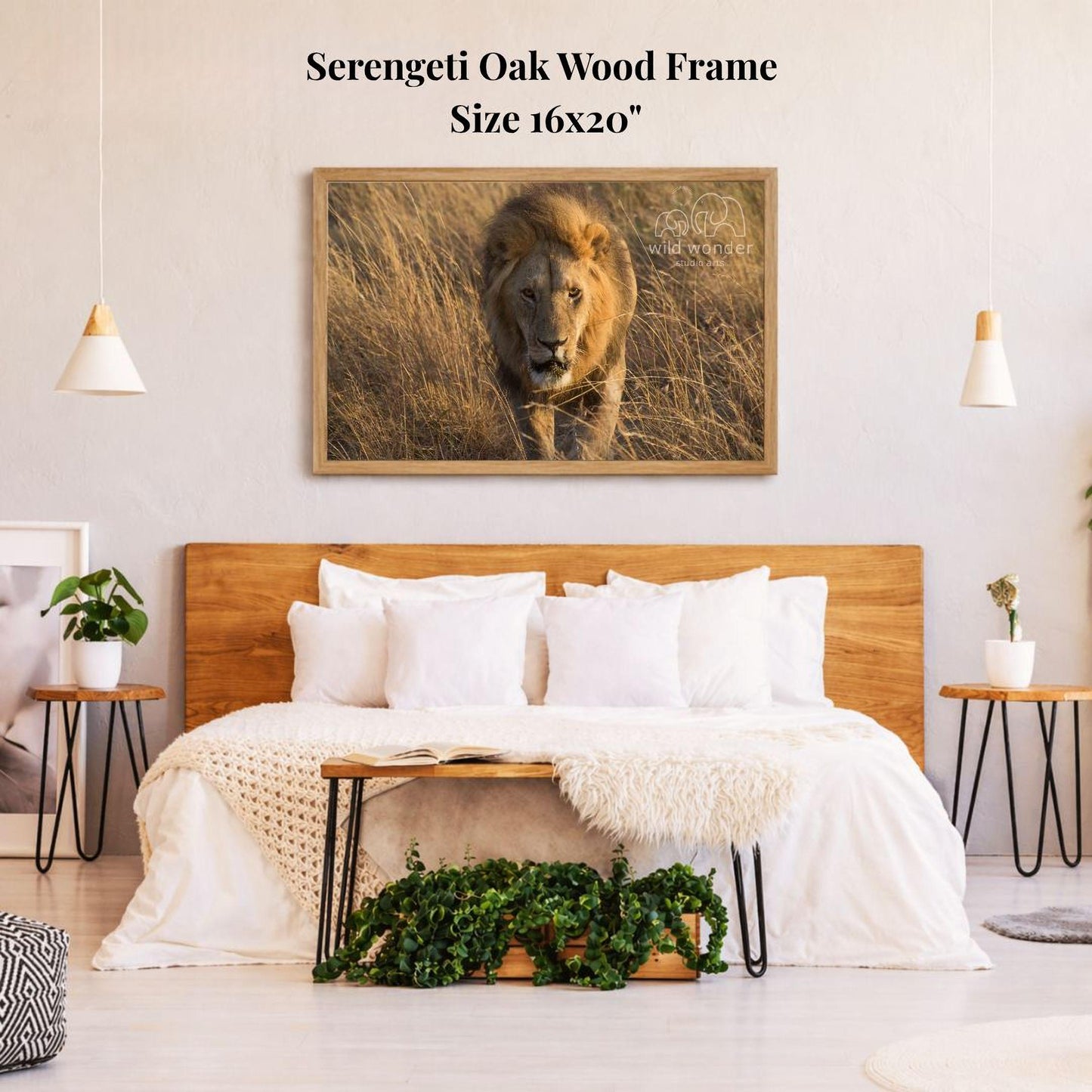 a serene bedroom scene with a large framed photograph of a lion on the wall above a bed with white bedding.