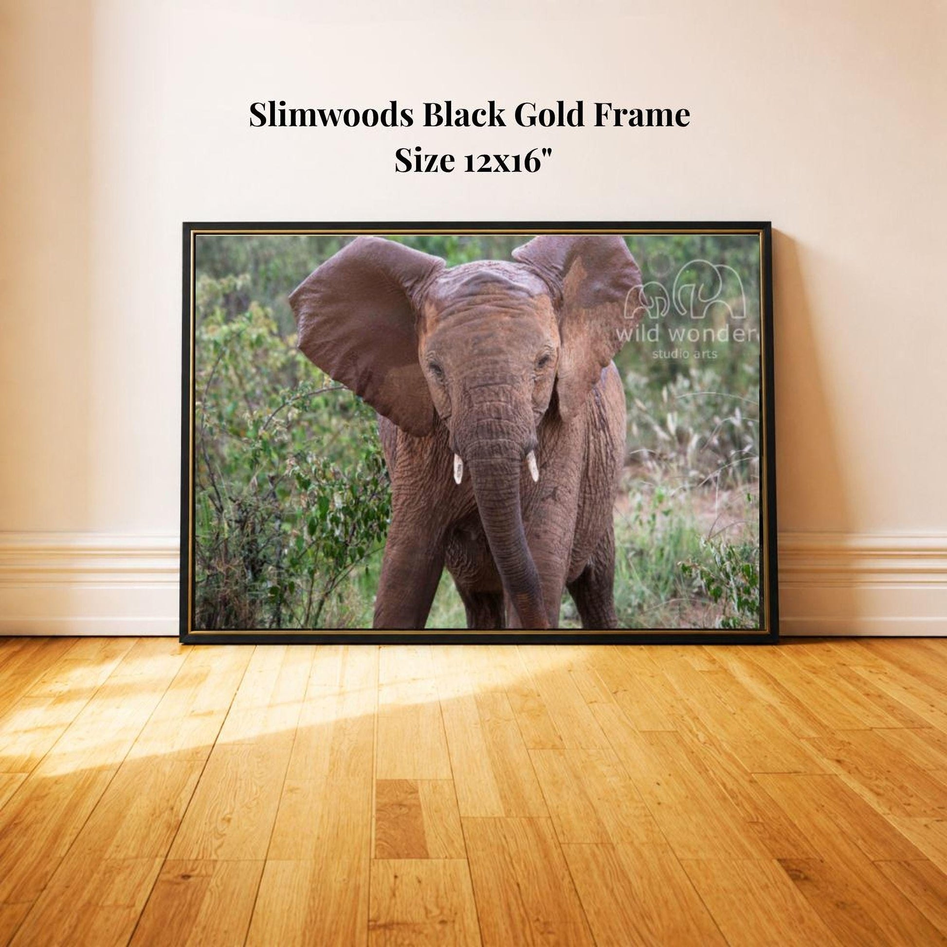 A framed photograph of an elephant standing in a grassy area, with the text "Slimwoods Black Gold Frame" and "Size 12x16" printed on the frame.