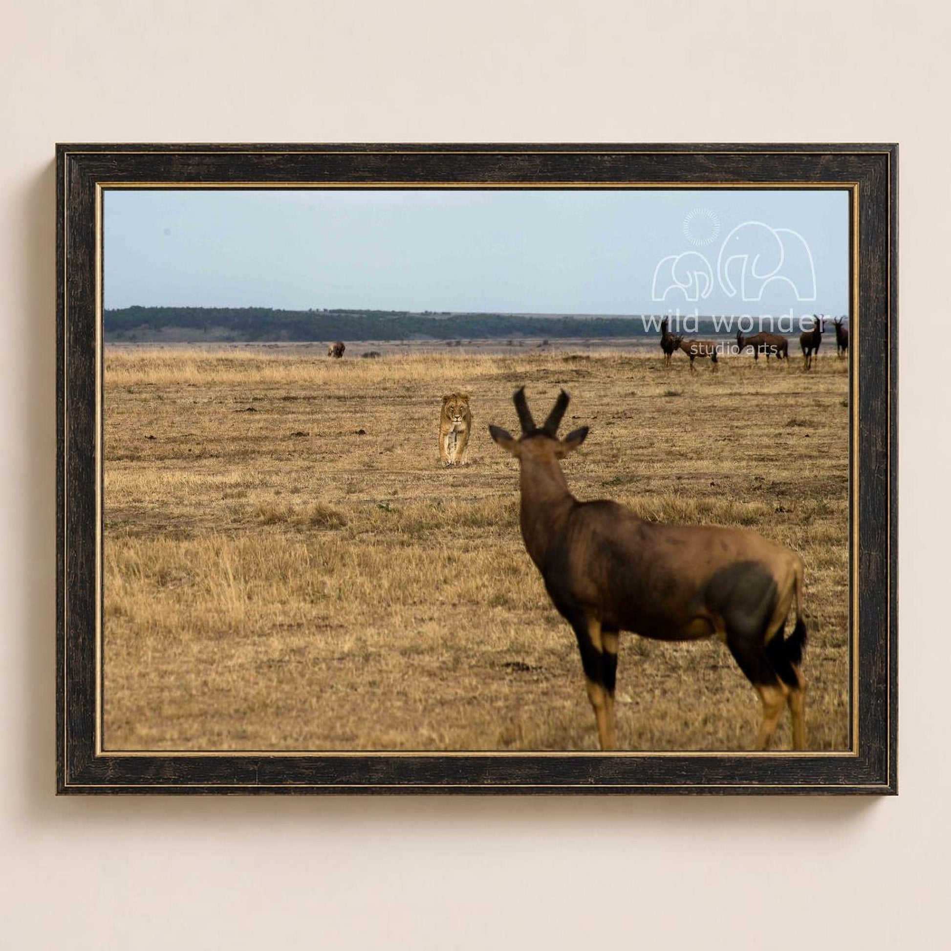 A wild animal, possibly a lion or a gazelle, stands in a dry grass field with a few other animals in the distance.