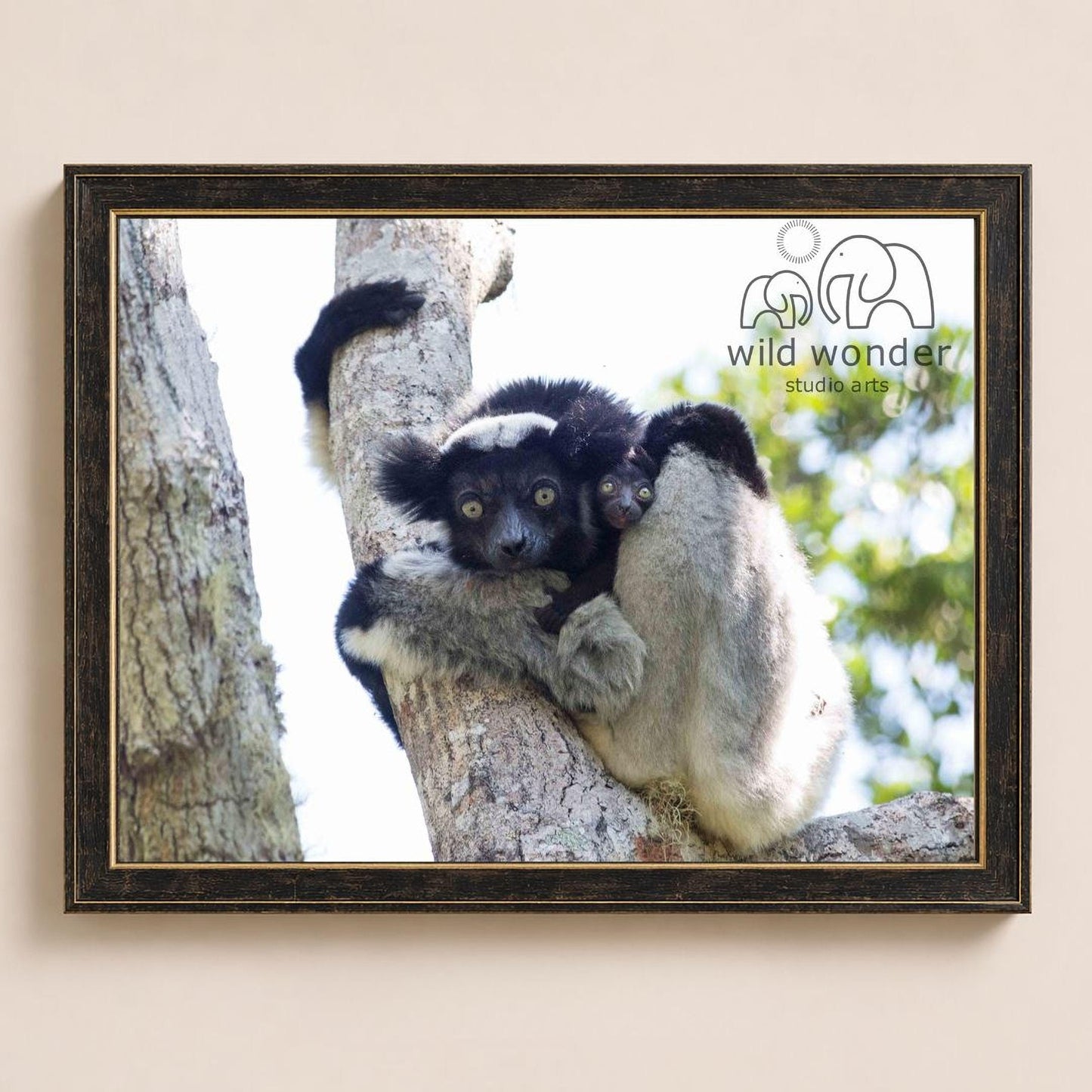 A black and white lemur is perched on a tree branch, with another lemur nestled on its back. The image is framed and appears to be a photograph of the two lemurs.