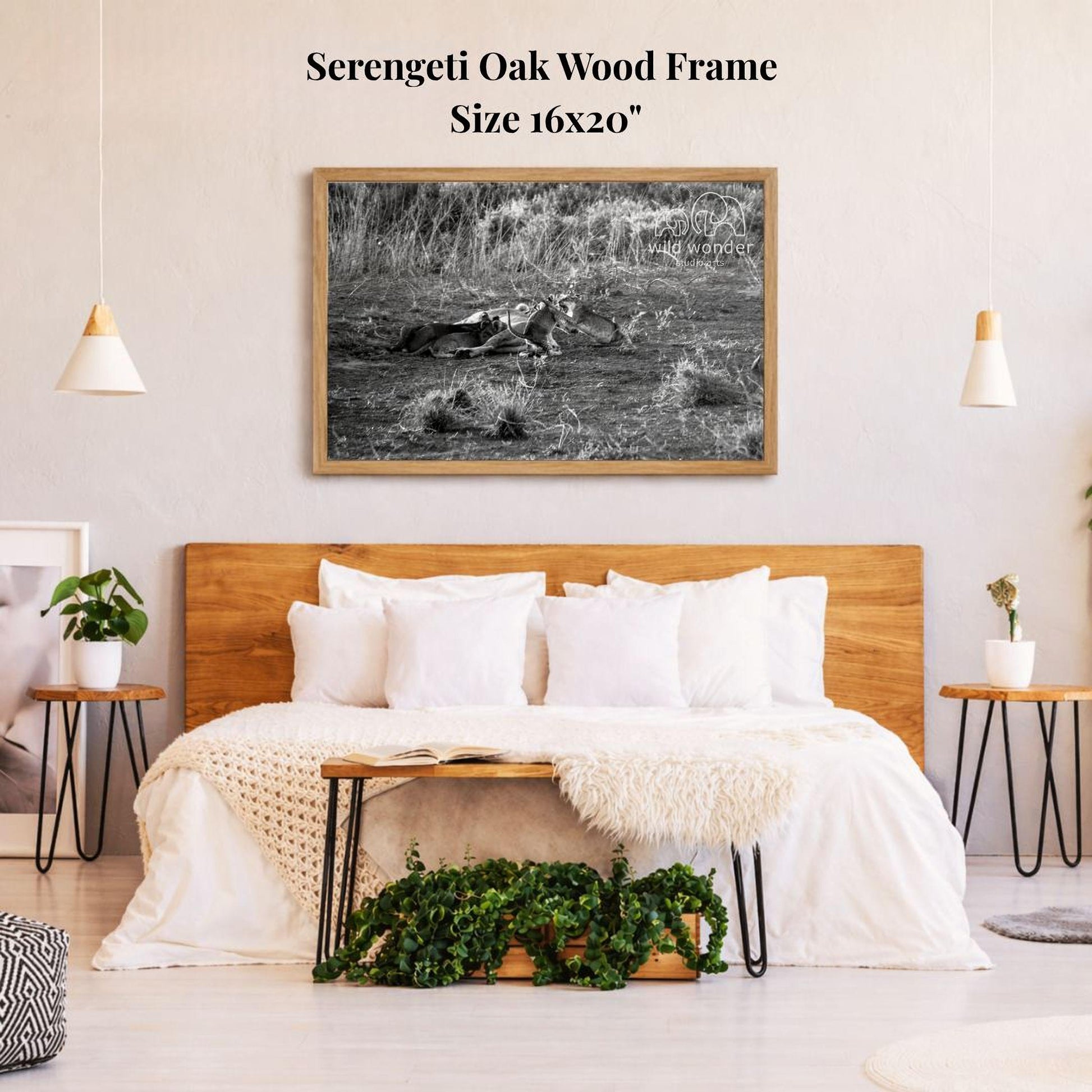 a serene bedroom setting with a large bed, a wooden headboard, and a framed black and white photograph of a lion resting in the grass. The photograph is hanging on the wall above the bed, which is adorned with white pillows and a white blanket. The room also includes a potted plant, a small side table, and a wooden nightstand.