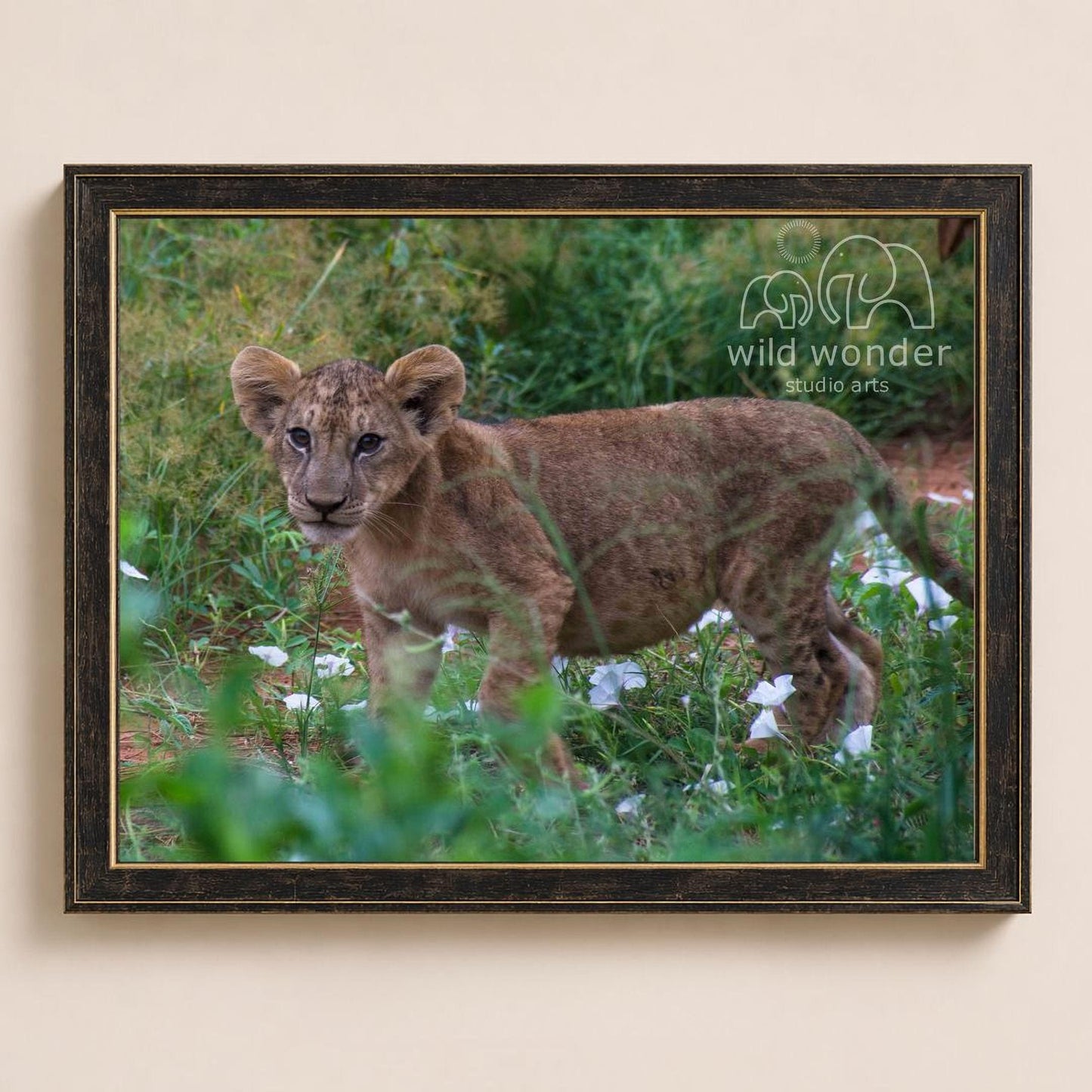 A young lion cub standing in a grassy field with flowers, surrounded by greenery.