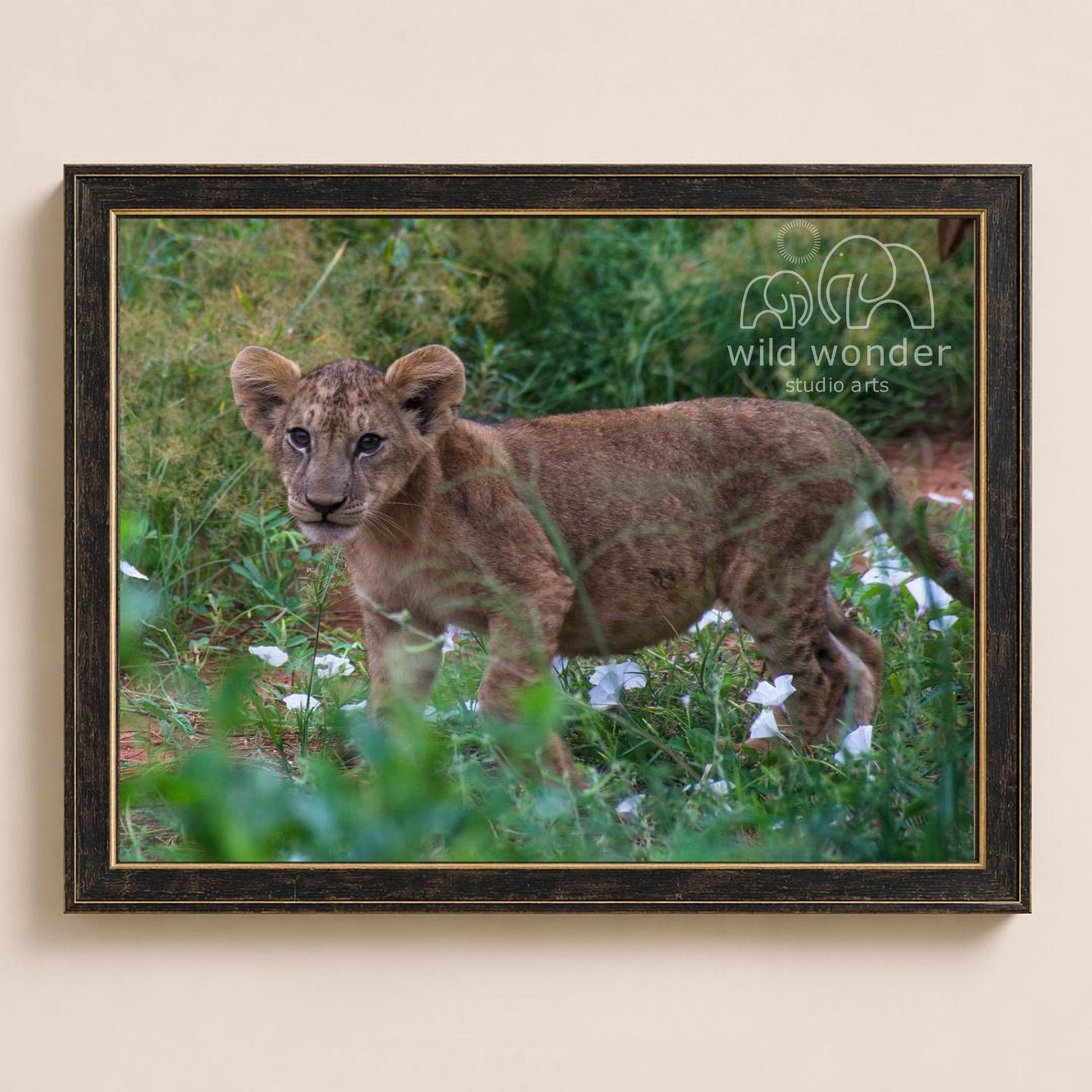 A young lion cub standing in a grassy field with flowers, surrounded by greenery.