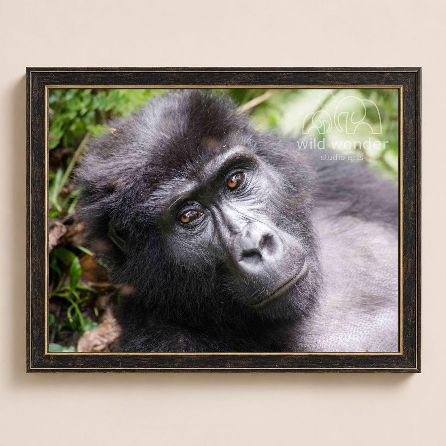 A close-up portrait of a gorilla, with its dark fur and intense gaze, set against a lush, green background.