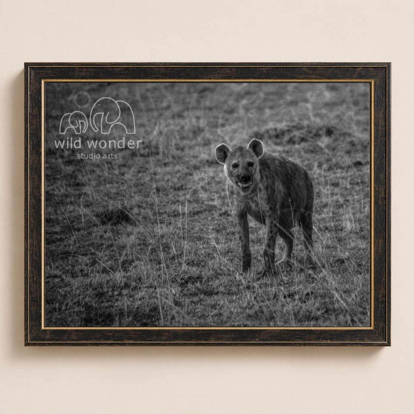 A black and white photograph of a hyena standing in a grassy field.
