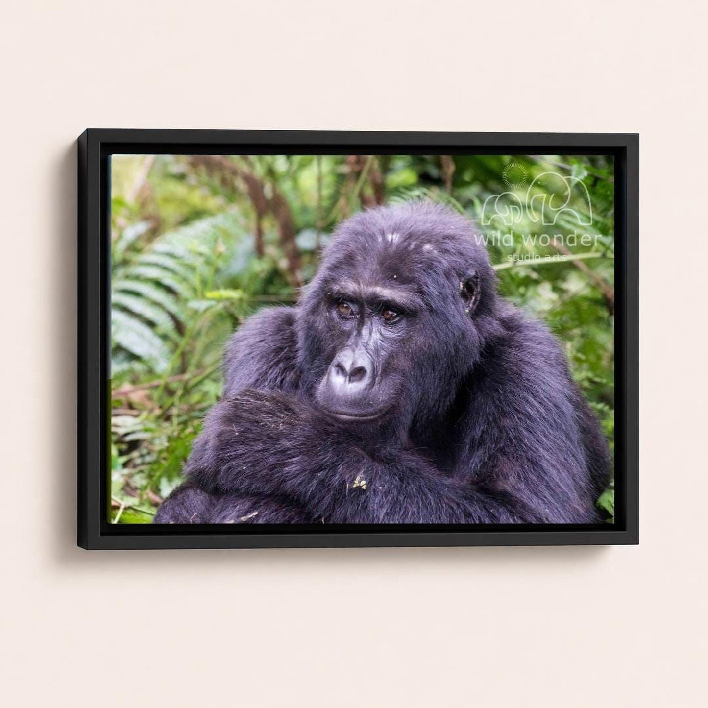 A black gorilla sitting in a lush, green forest environment.