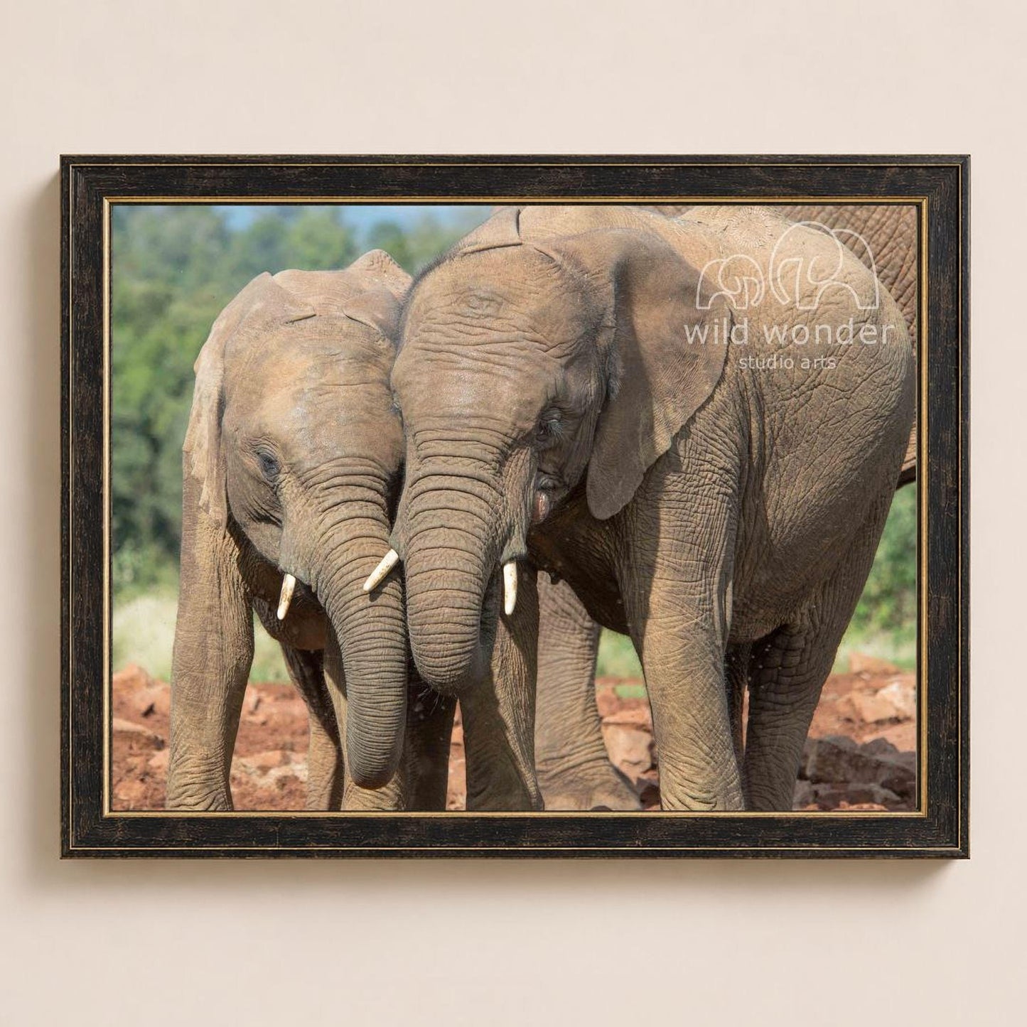 Two elephants standing close together in a natural setting, with one elephant partially obscuring the other.