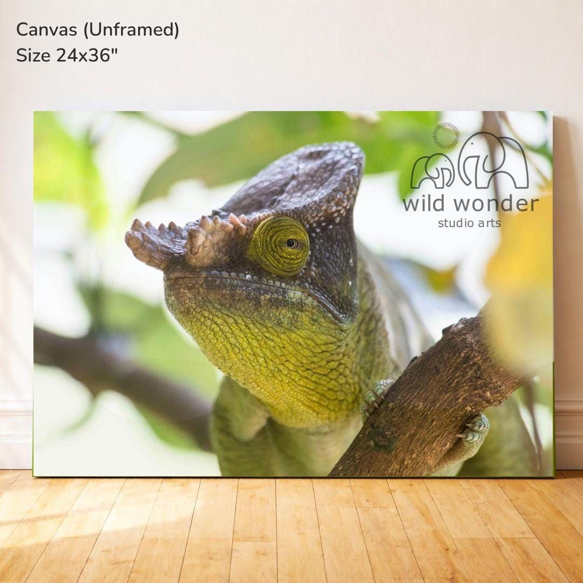 The image is a close-up of a chameleon perched on a tree branch, showcasing its vibrant green and brown coloration and distinctive features.