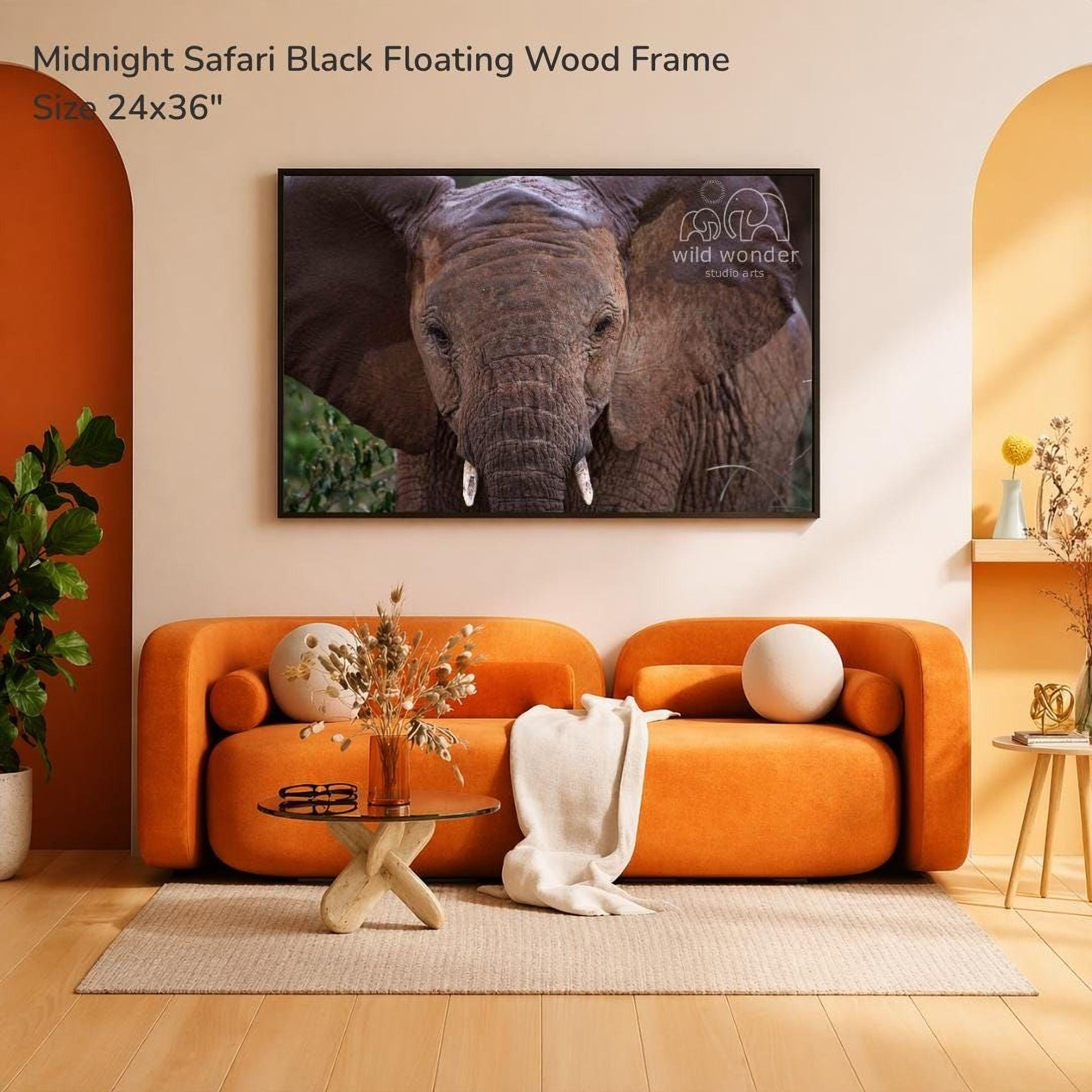 a large black floating wood frame hanging on a wall, with a photograph of an elephant displayed on it. The frame is described as a "Midnight Safari Black Floating Wood Frame" and has a size of 24x36 inches. The room has an orange couch, a glass coffee table, and a potted plant, creating a cozy and inviting atmosphere.