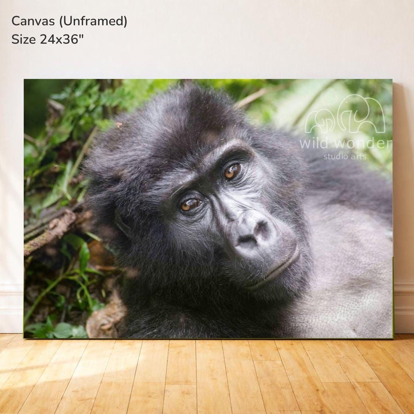 A close-up portrait of a gorilla resting on the forest floor, with lush greenery in the background.