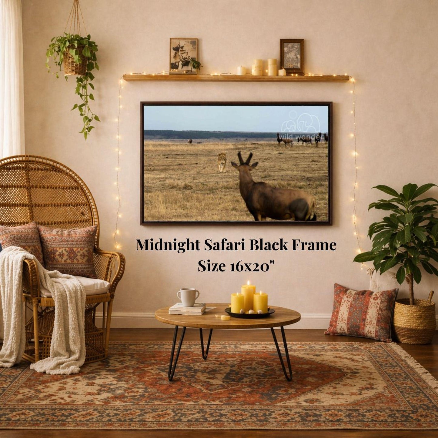 a living room with a large framed photograph of a safari scene hanging on the wall. The photograph is mounted on a black frame, and the text "Midnight Safari Black Frame" is displayed below it. The room has a cozy and inviting atmosphere, with a wicker chair, a coffee table, and a potted plant.