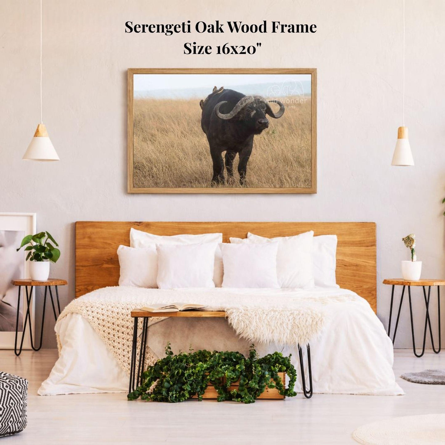 a serene bedroom scene with a large bed, a wooden headboard, and a framed photograph of a horned animal, likely a buffalo or a water buffalo, hanging on the wall above the bed.