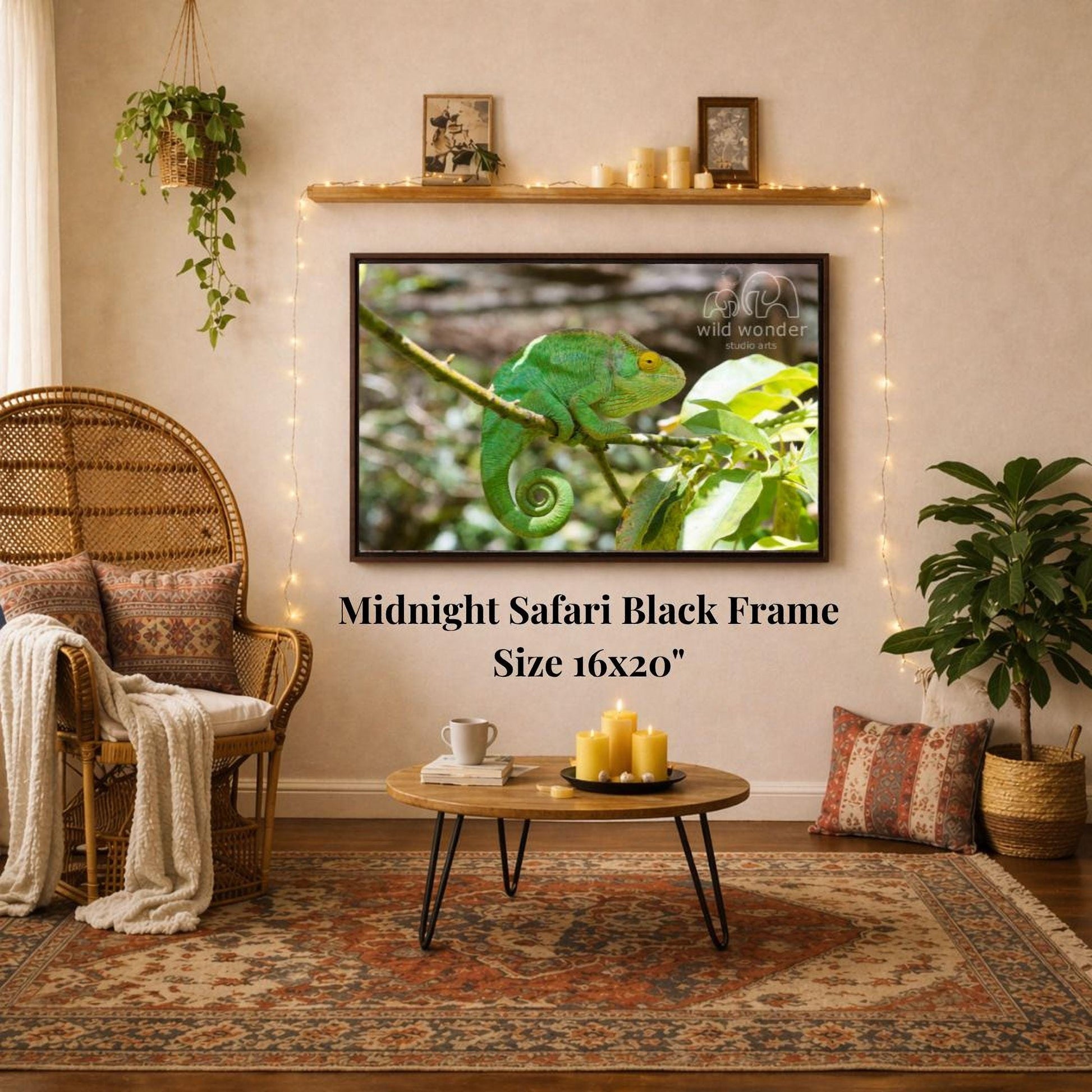 a living room with a large framed photograph of a green chameleon on a branch hanging on the wall. The photograph is mounted on a black frame, which is described as a "Midnight Safari Black Frame" and is 16x20 inches in size. The room is decorated with various plants, including a potted plant and a hanging plant, and has a cozy seating area with a chair and a coffee table.