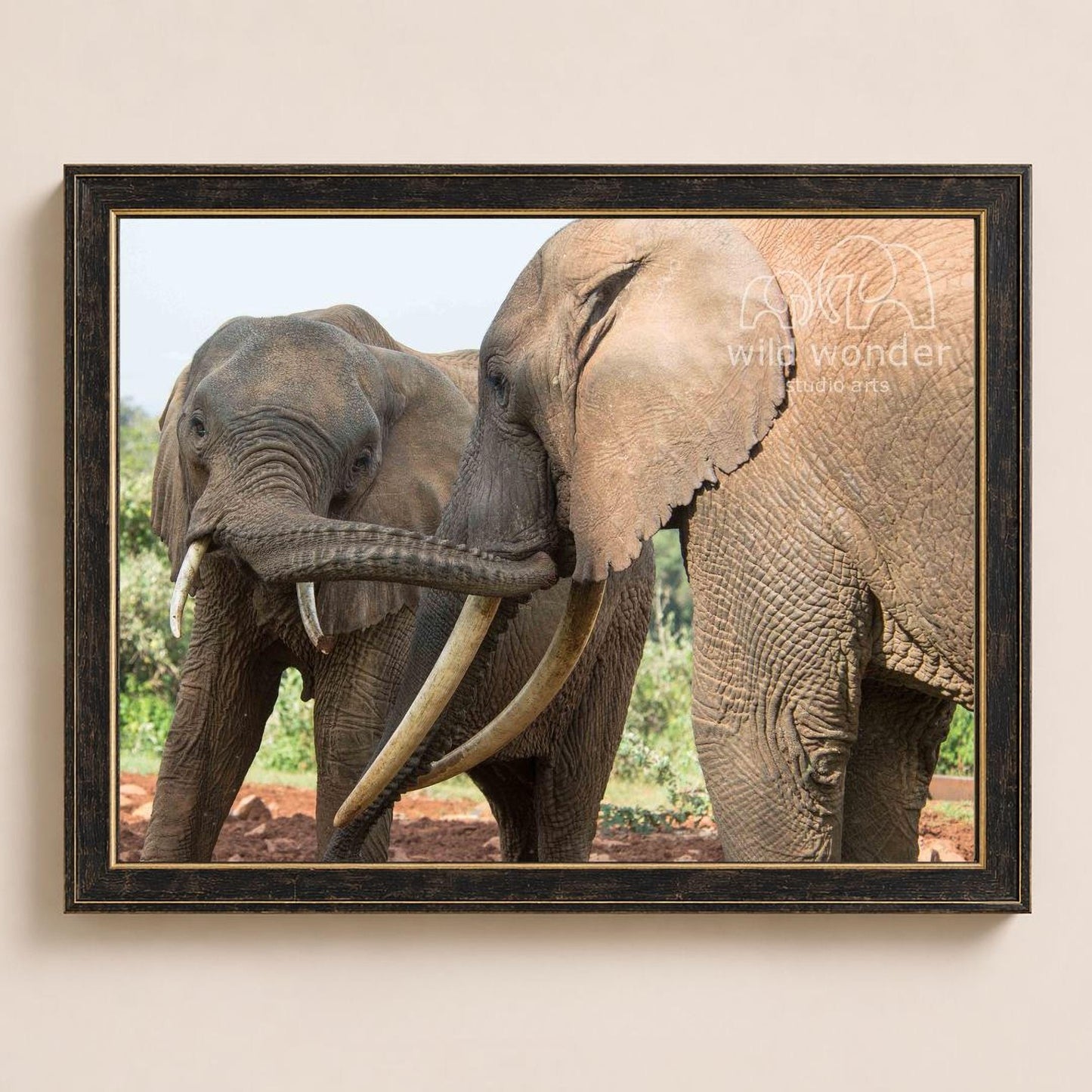 Two elephants standing in a natural setting, with one elephant having large tusks and the other having smaller tusks.