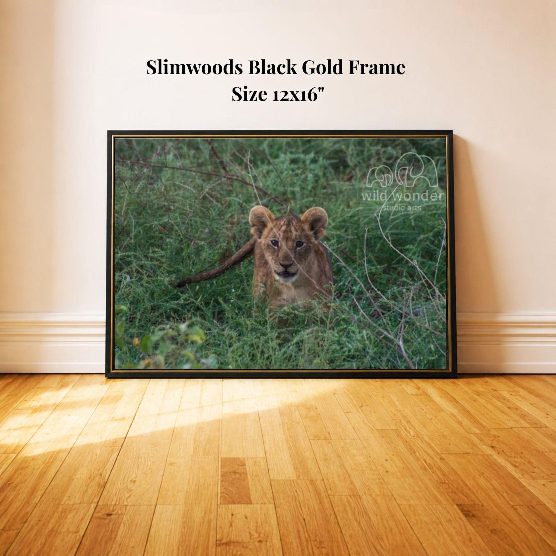 A framed photograph of a young lion resting in the grass, with a black border and gold frame.