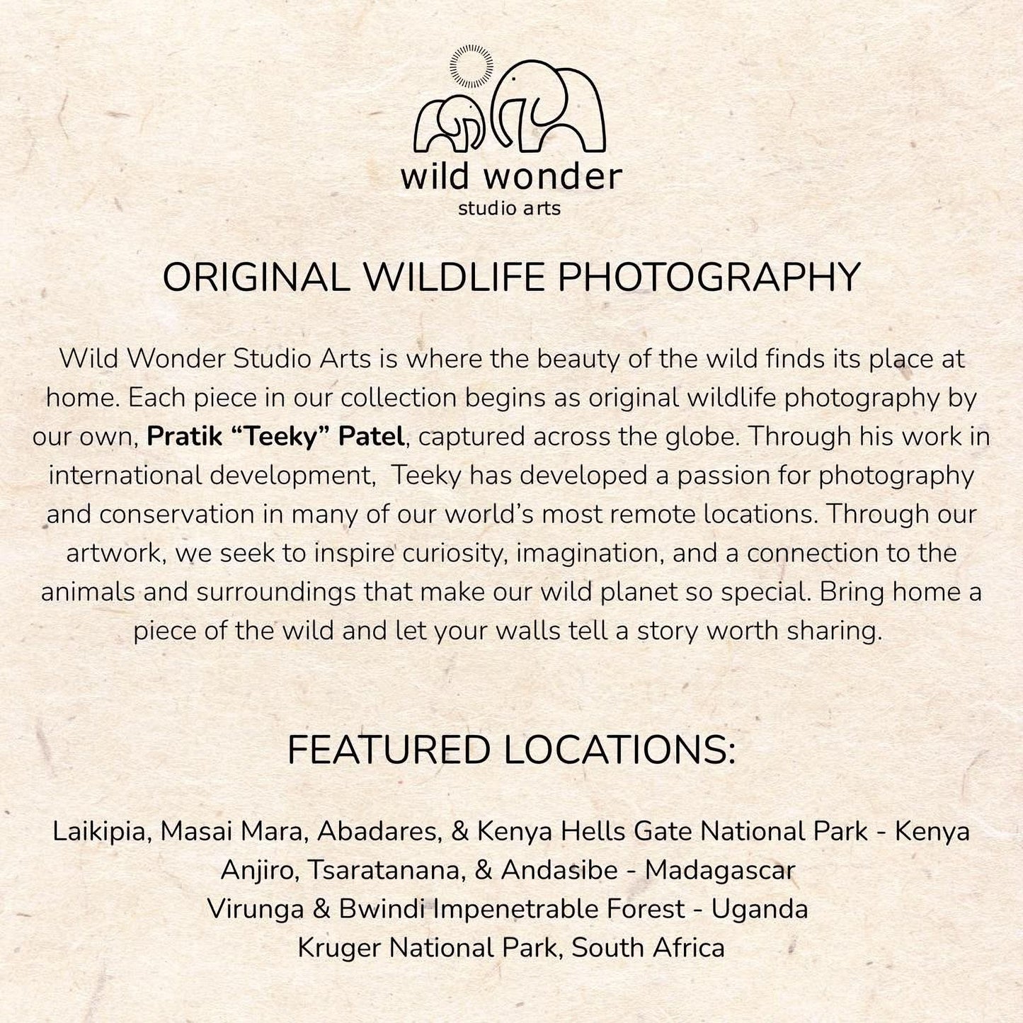 The image is a collection of wildlife photography pieces from various locations around the world, showcasing the beauty of the wild and the passion for photography in different environments.