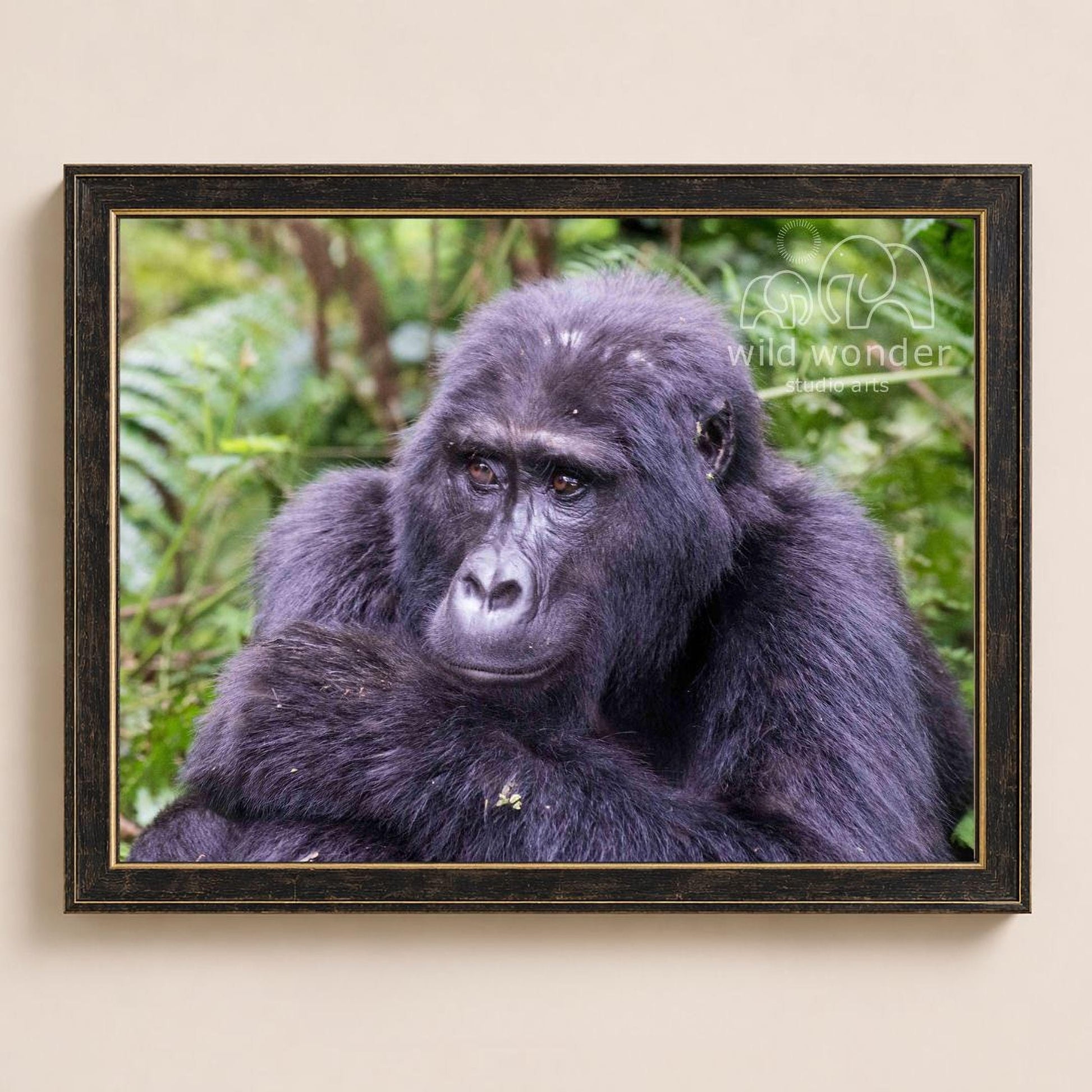 A close-up portrait of a gorilla in a lush, green forest environment.