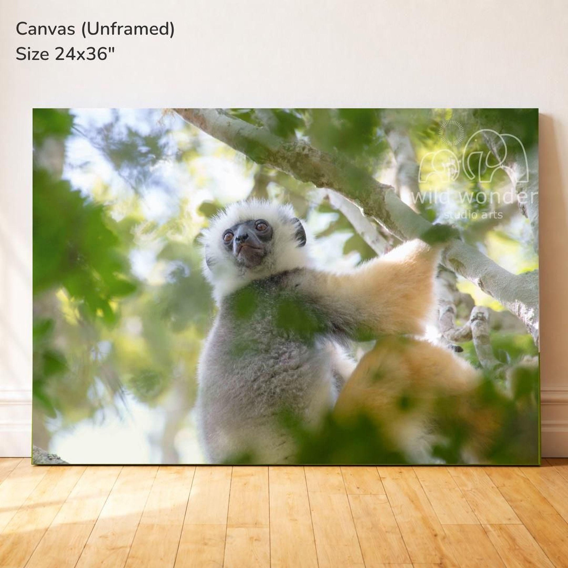 A close-up of a lemur in a tree, with its distinctive fur and large eyes visible.