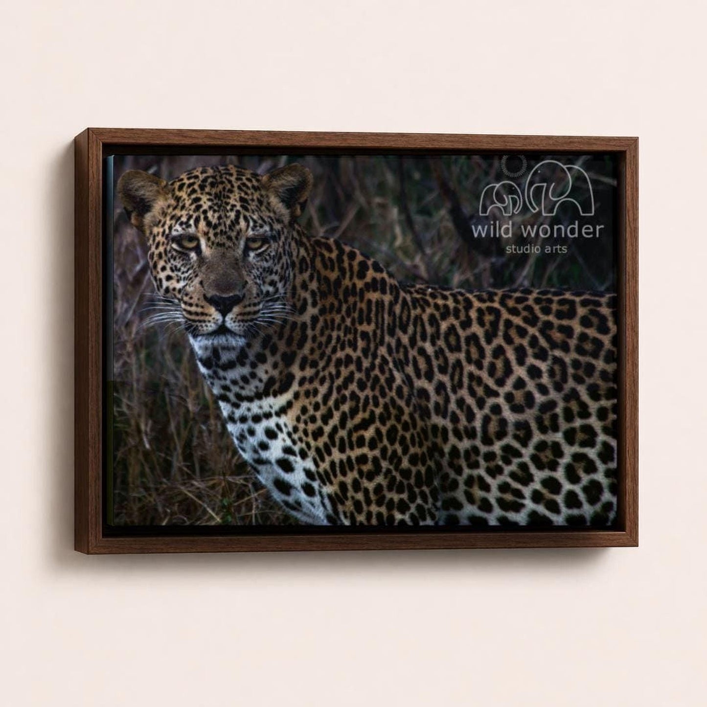 A leopard standing in a natural environment, with its distinctive spotted coat.