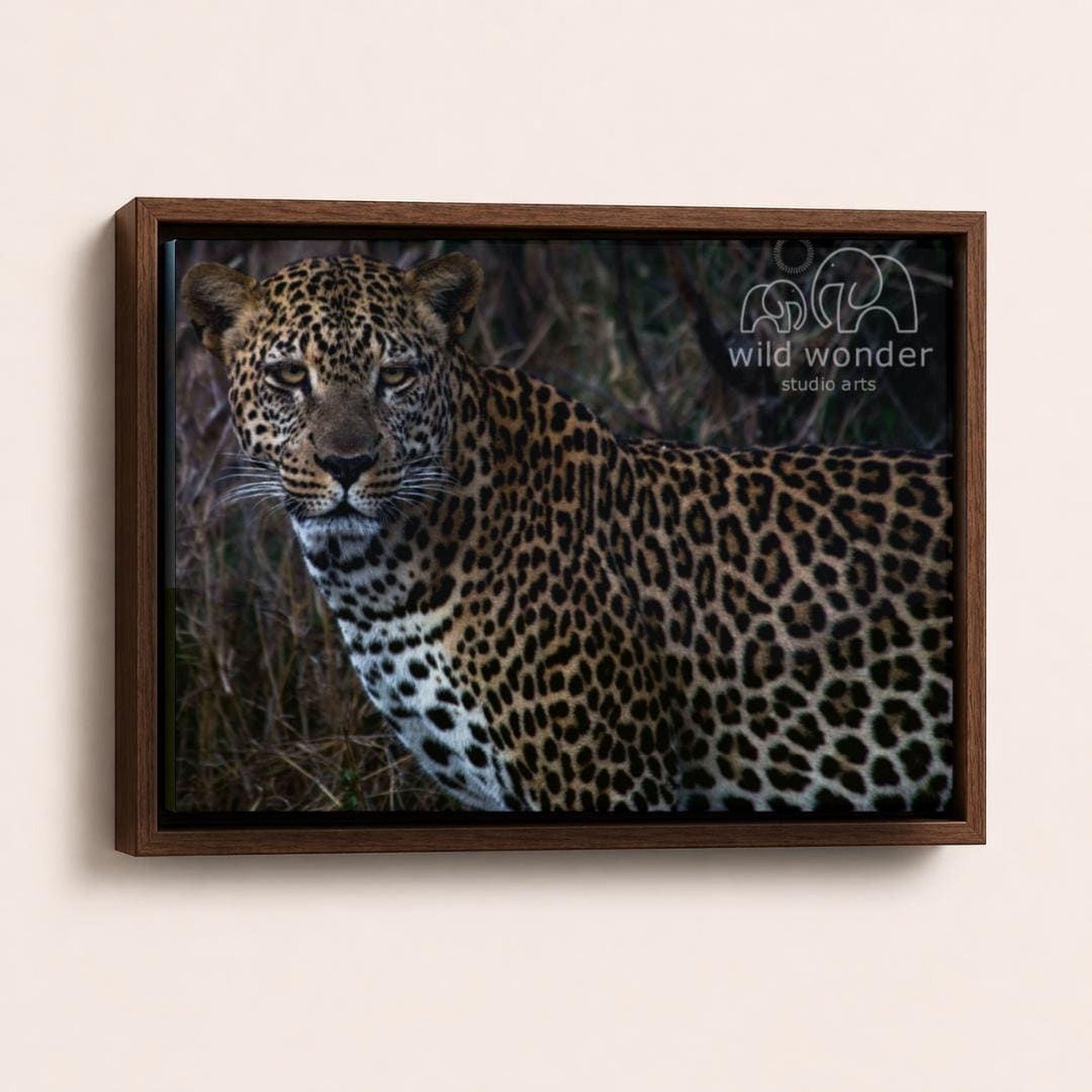 A leopard standing in a natural environment, with its distinctive spotted coat.