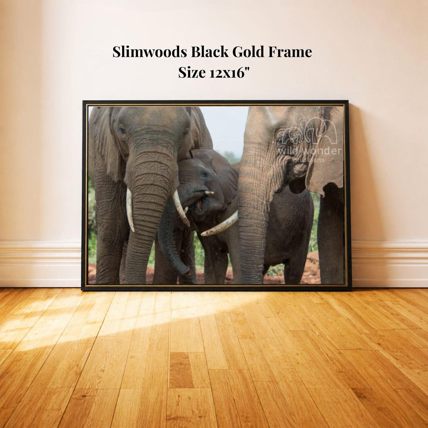 A framed photograph of three elephants, likely a family, standing together in a natural setting.