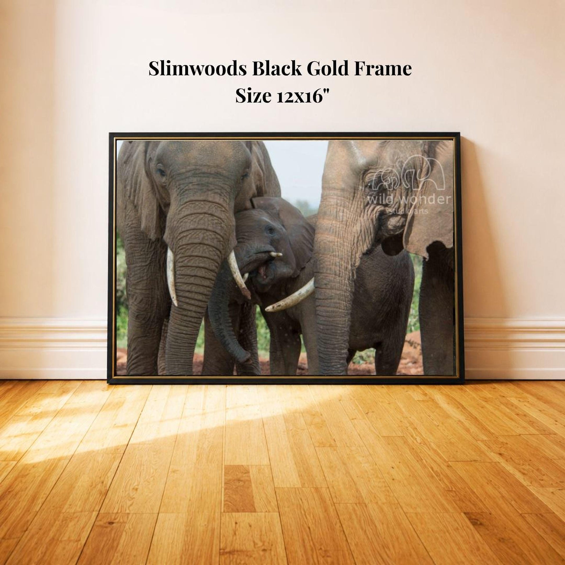A framed photograph of three elephants, likely a family, standing together in a natural setting.