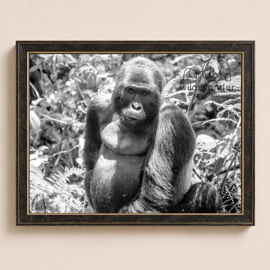 A black and white photograph of a gorilla sitting in a natural setting, surrounded by foliage.