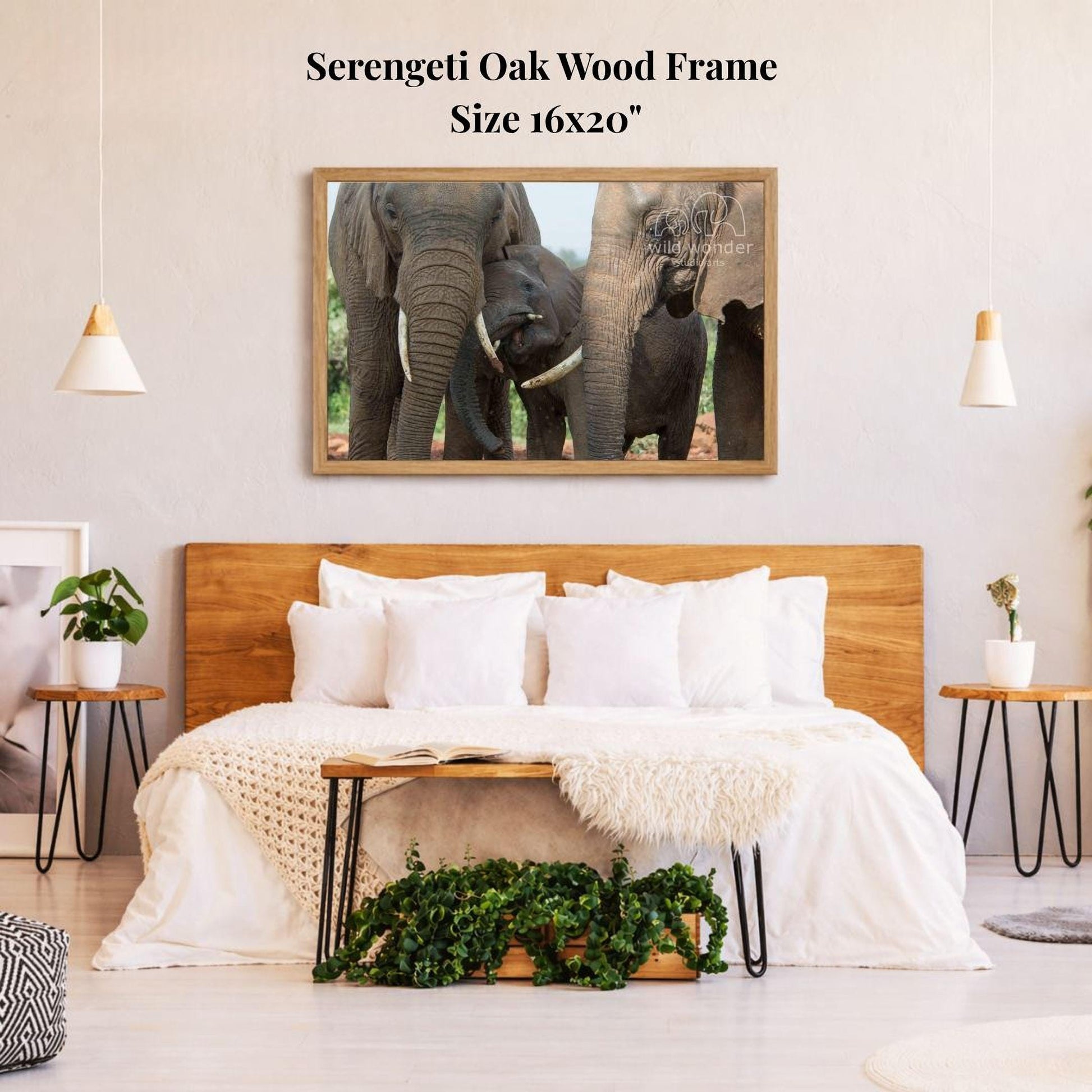 a serene bedroom scene with a large framed photograph of three elephants on the wall above a bed with white bedding.