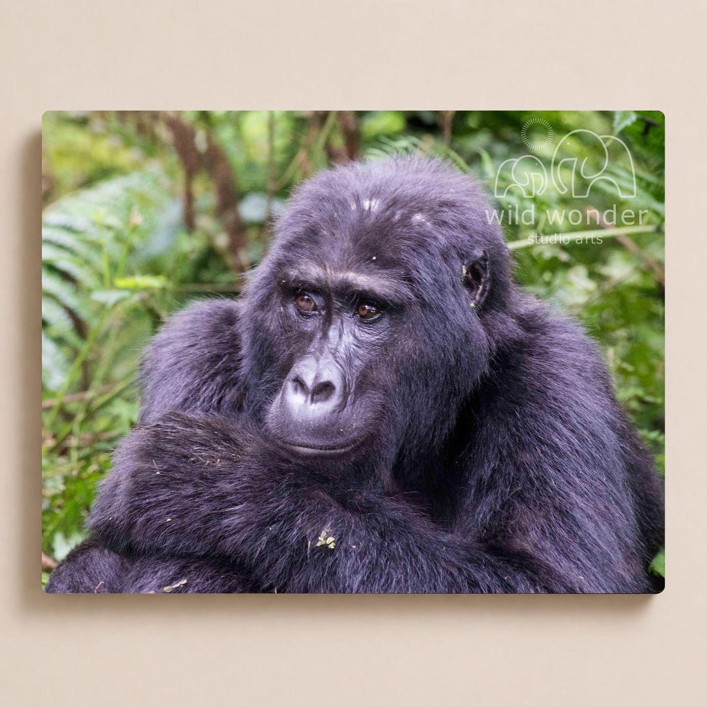 A close-up portrait of a gorilla sitting in a lush, green forest environment.