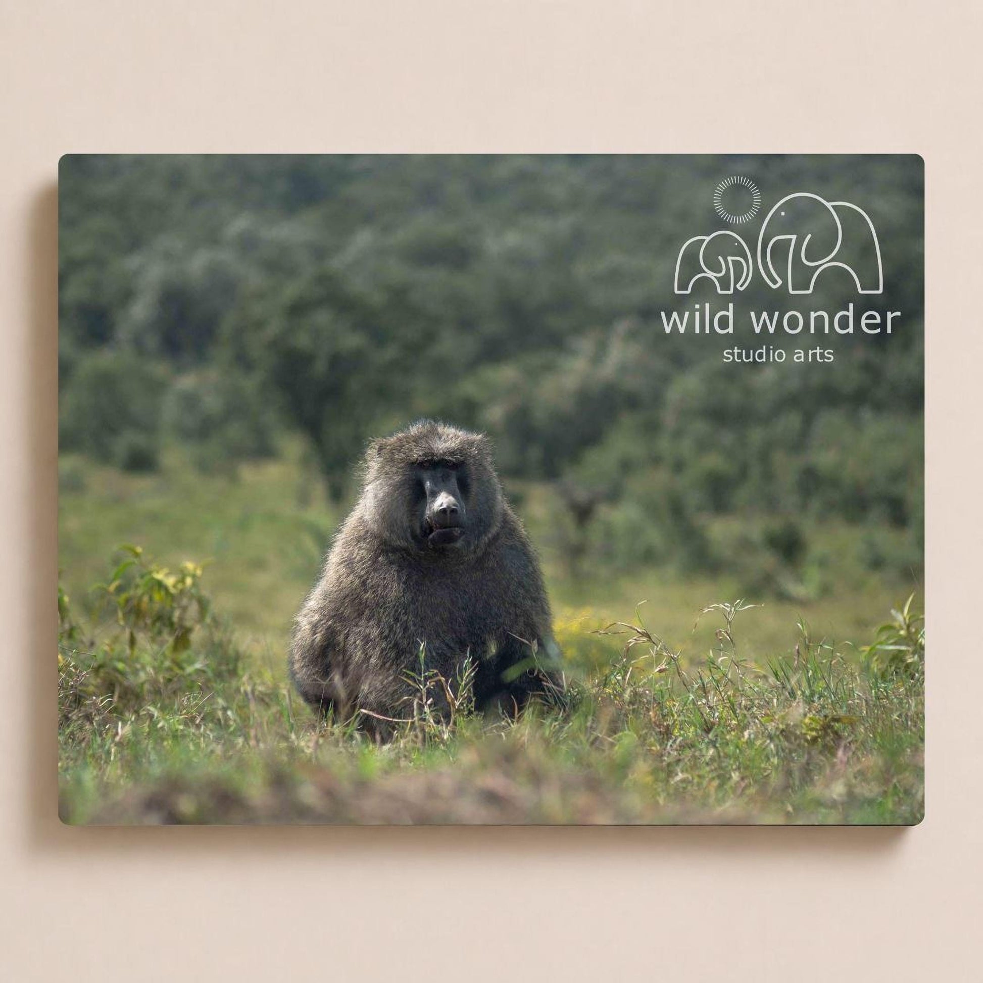 A large, furry monkey sits in a grassy field, with a logo for "wild wonder studio arts" displayed in the background.