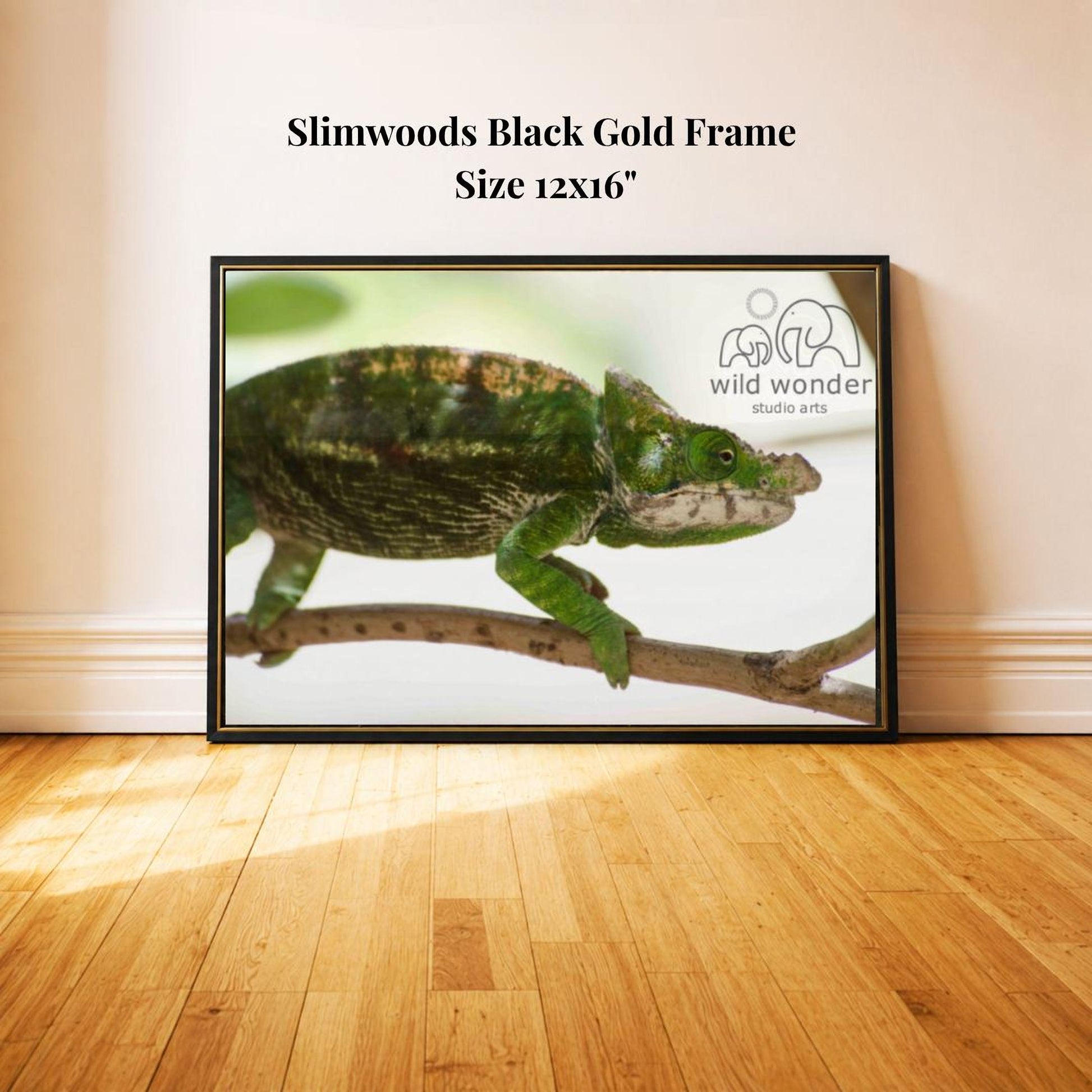 A framed photograph of a chameleon perched on a branch, with the text "Slimwoods Black Gold Frame" and "Size 12x16" indicating the size and material of the frame.