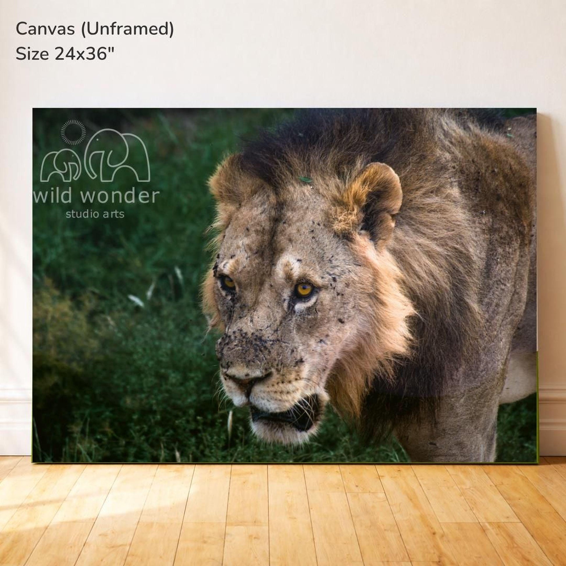 The image is a large canvas print featuring a close-up of a lion in a grassy field.