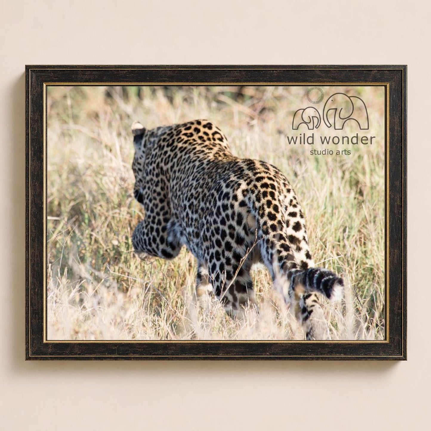 A leopard walking through tall grass in a natural setting.