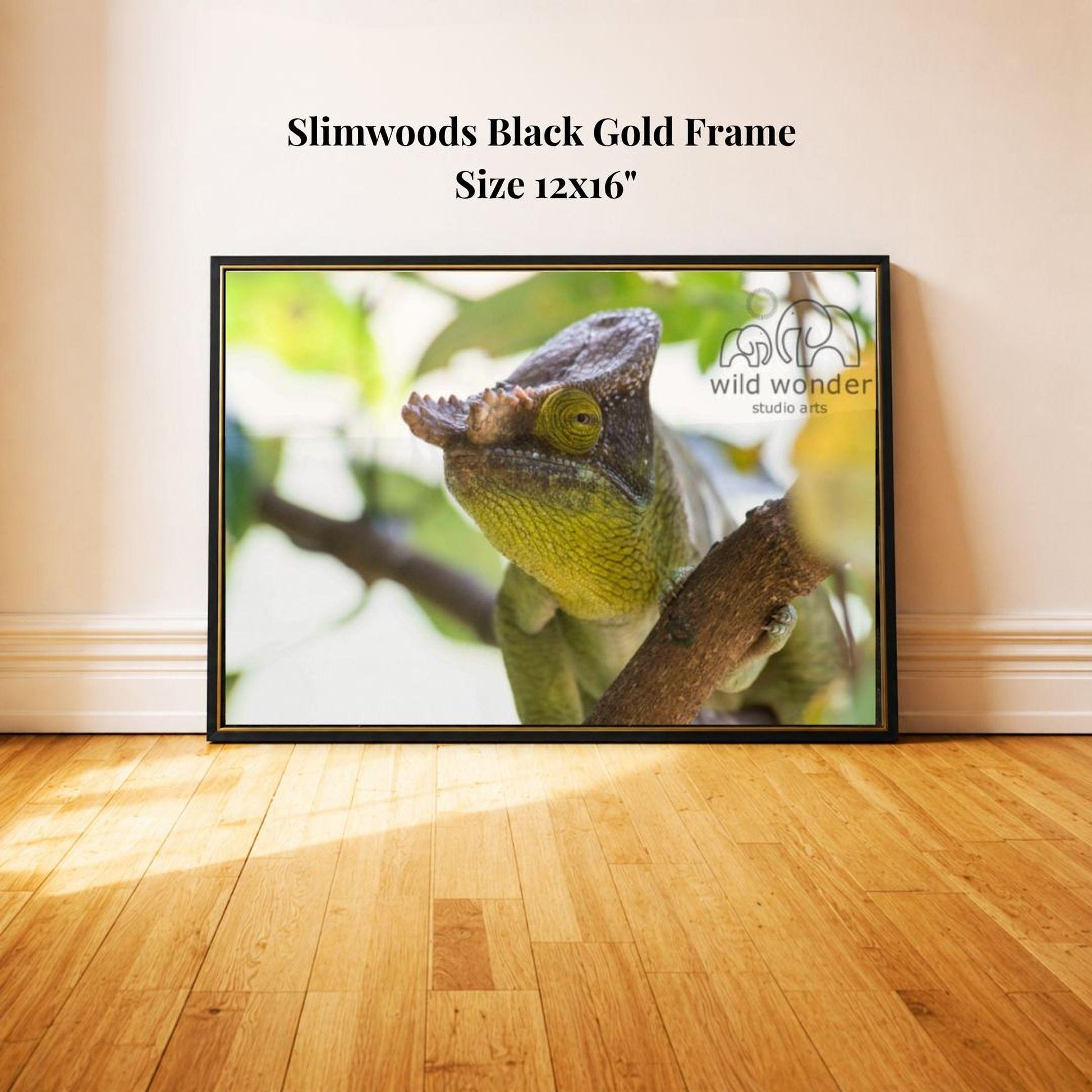 A framed photograph of a chameleon perched on a branch, with a black gold frame and a size of 12x16 inches.