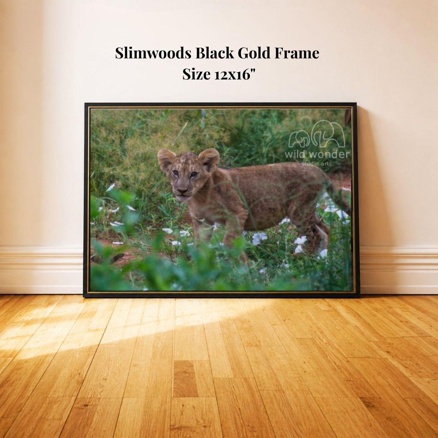 A framed photograph of a young lion cub in a lush, green environment, with the text "Slimwoods Black Gold Frame" and "Size 12x16" indicating the dimensions of the frame.