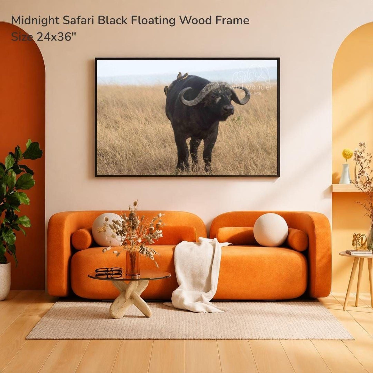 a large black floating wood frame with a photograph of a black ox standing in a field, hanging on a wall above a modern orange sofa with a glass coffee table in a living room setting.