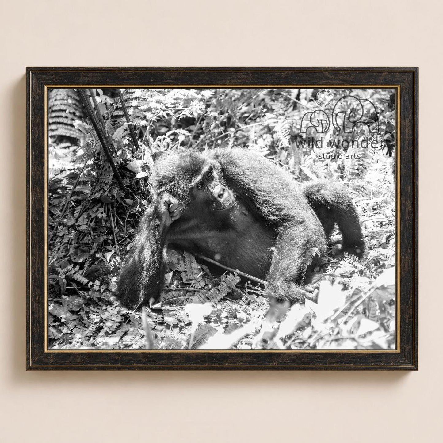 A black and white photograph of a monkey sitting on the ground in a forested area.
