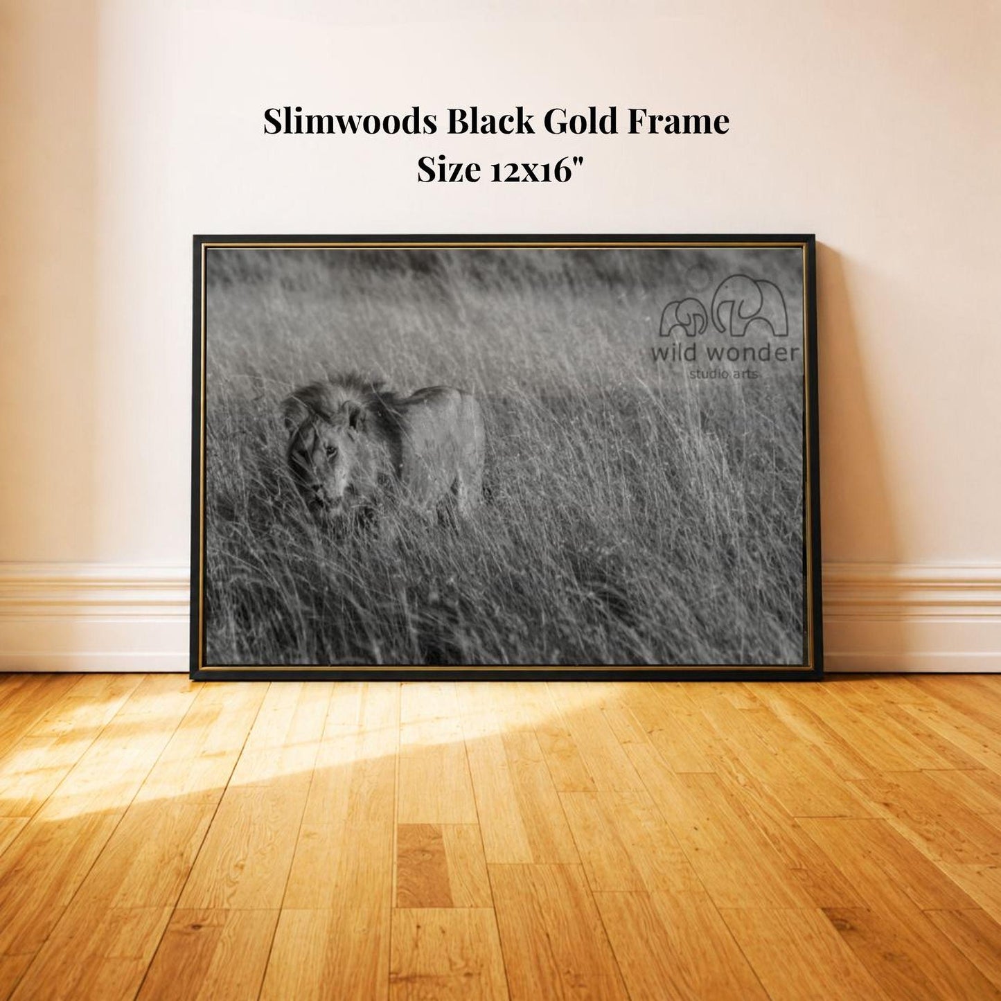 A black and white photograph of a lion in a grassy field, with a black frame.