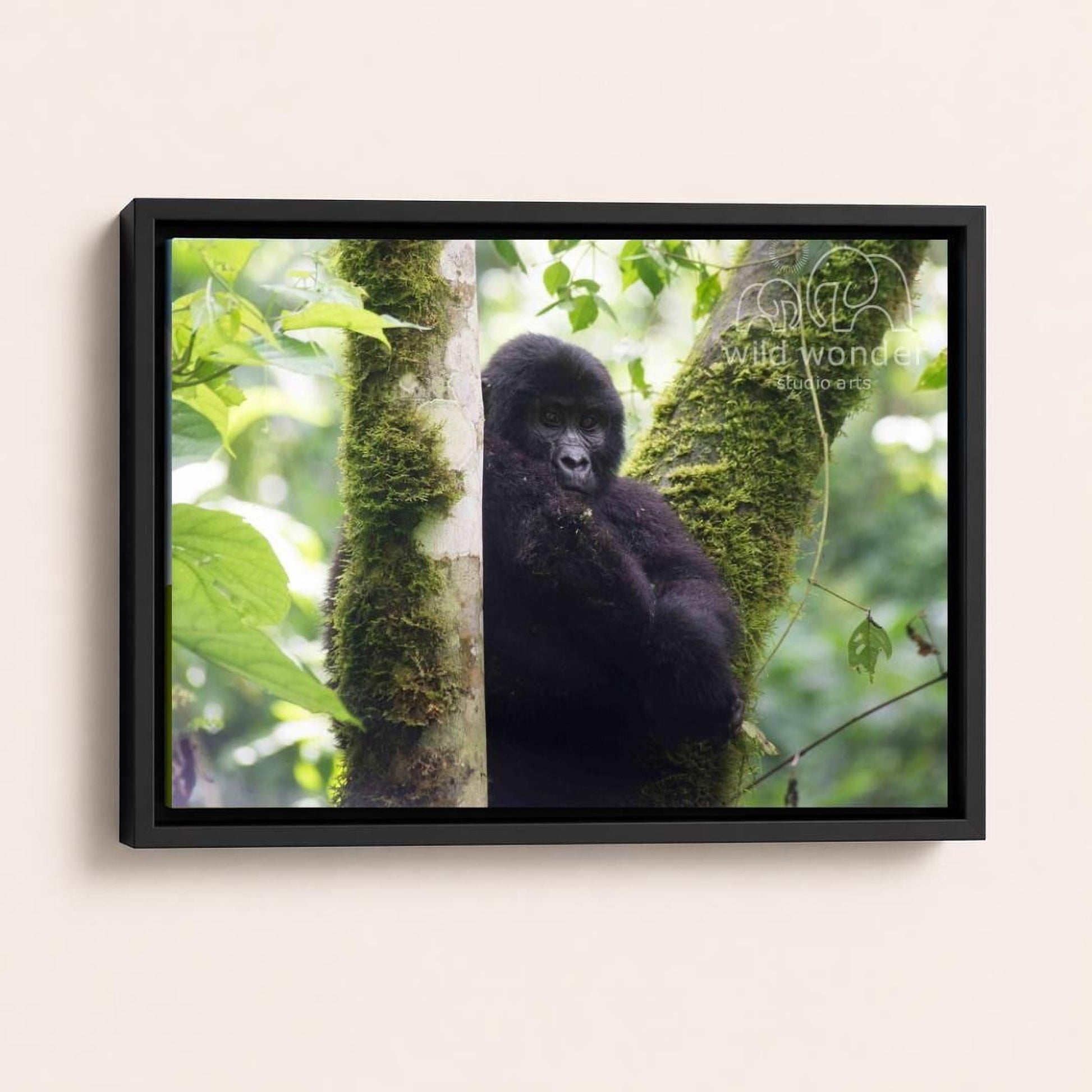 A black gorilla is sitting on a mossy tree trunk in a lush, green forest environment.