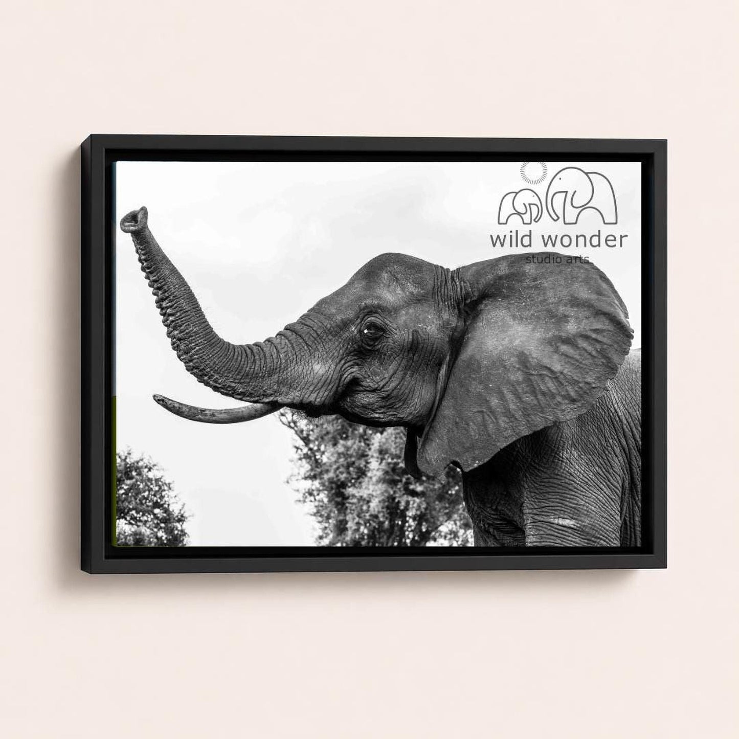 A black and white photograph of an elephant with its trunk raised, standing in a natural setting with trees in the background.