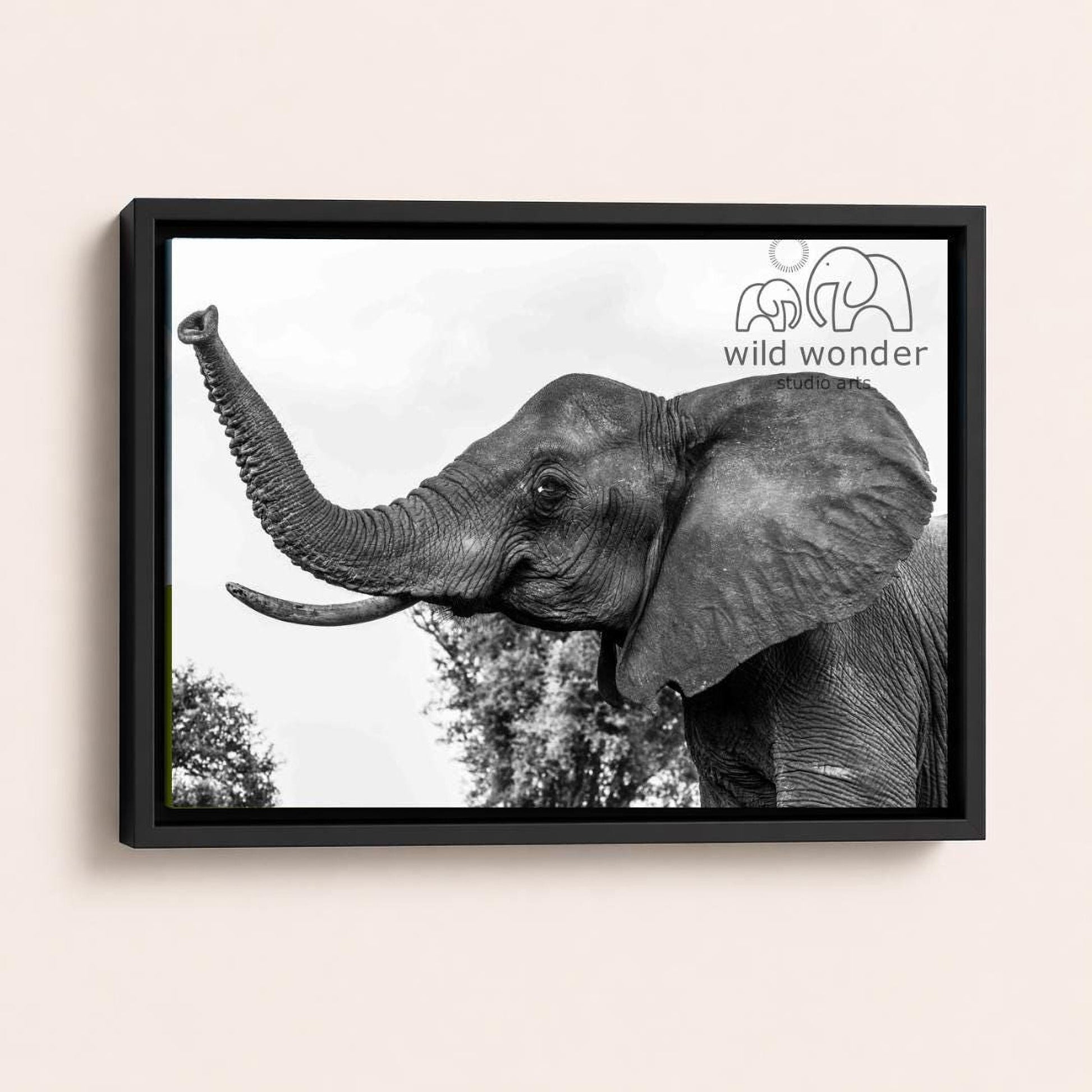 A black and white photograph of an elephant with its trunk raised, standing in a natural setting with trees in the background.